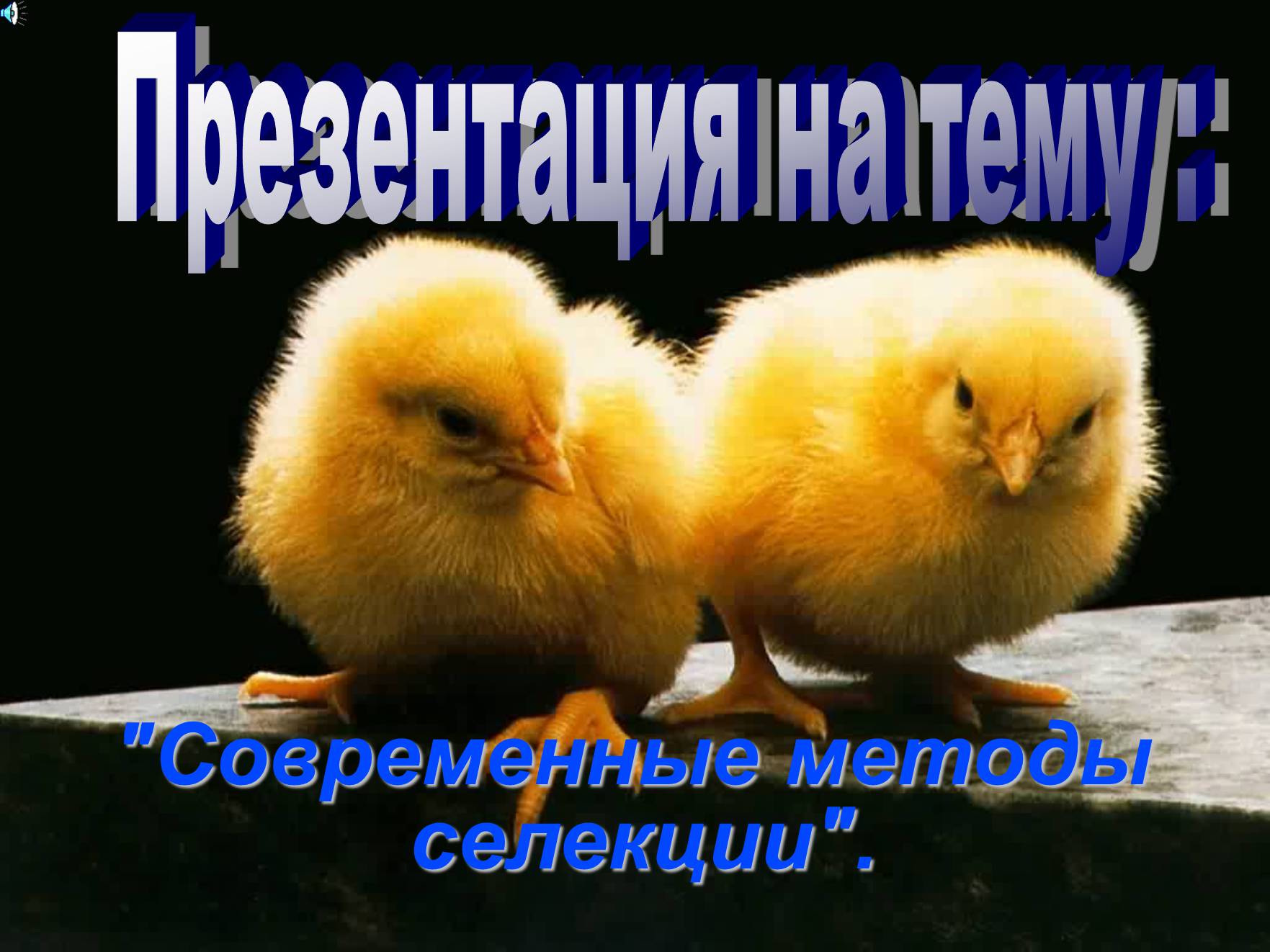 Презентація на тему «Современные методы селекции» - Слайд #1 Презентація на тему «Современные методы селекции» - Слайд #1