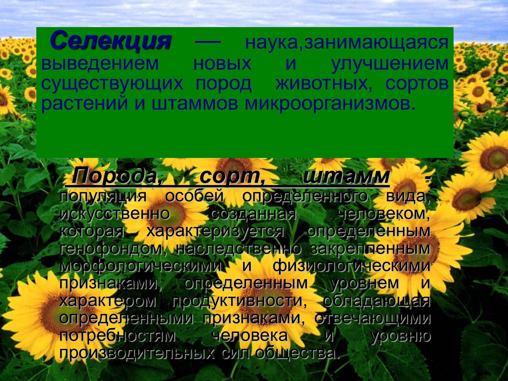 Презентація на тему «Современные методы селекции» - Слайд #2 Презентація на тему «Современные методы селекции» - Слайд #2