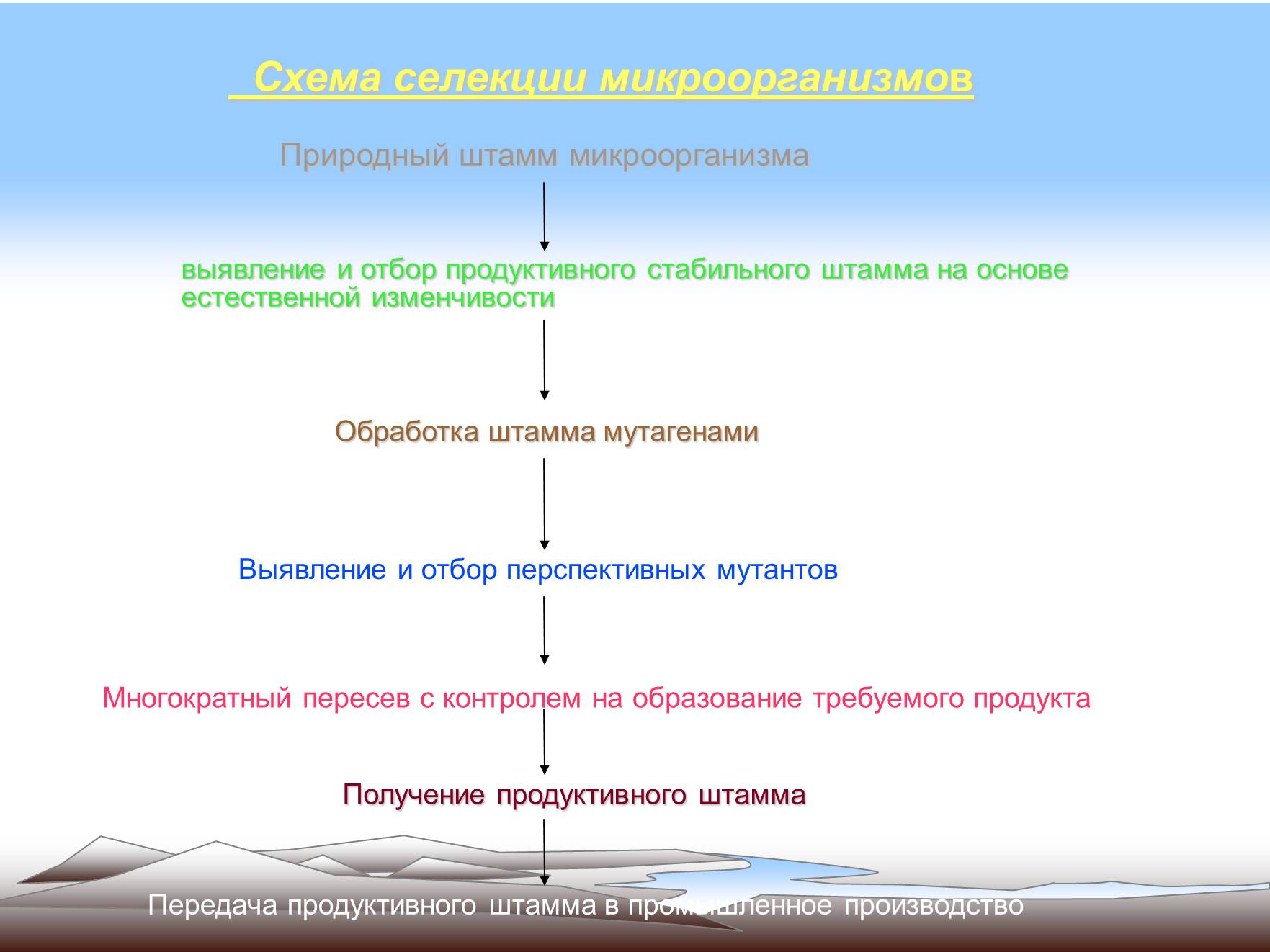 Презентація на тему «Современные методы селекции» - Слайд #8 Презентація на тему «Современные методы селекции» - Слайд #8