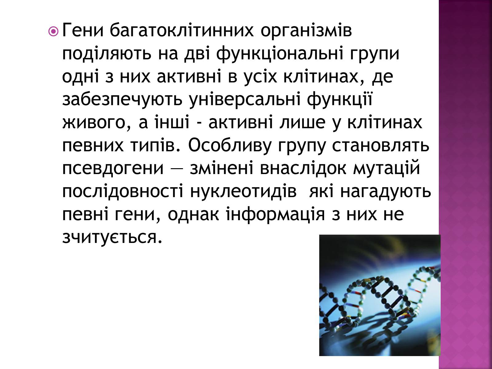 Презентація на тему «Основні закономірності функціонування генів у про – та еукаріотів» (варіант 2) - Слайд #15 Презентація на тему «Основні закономірності функціонування генів у про – та еукаріотів» (варіант 2) - Слайд #15