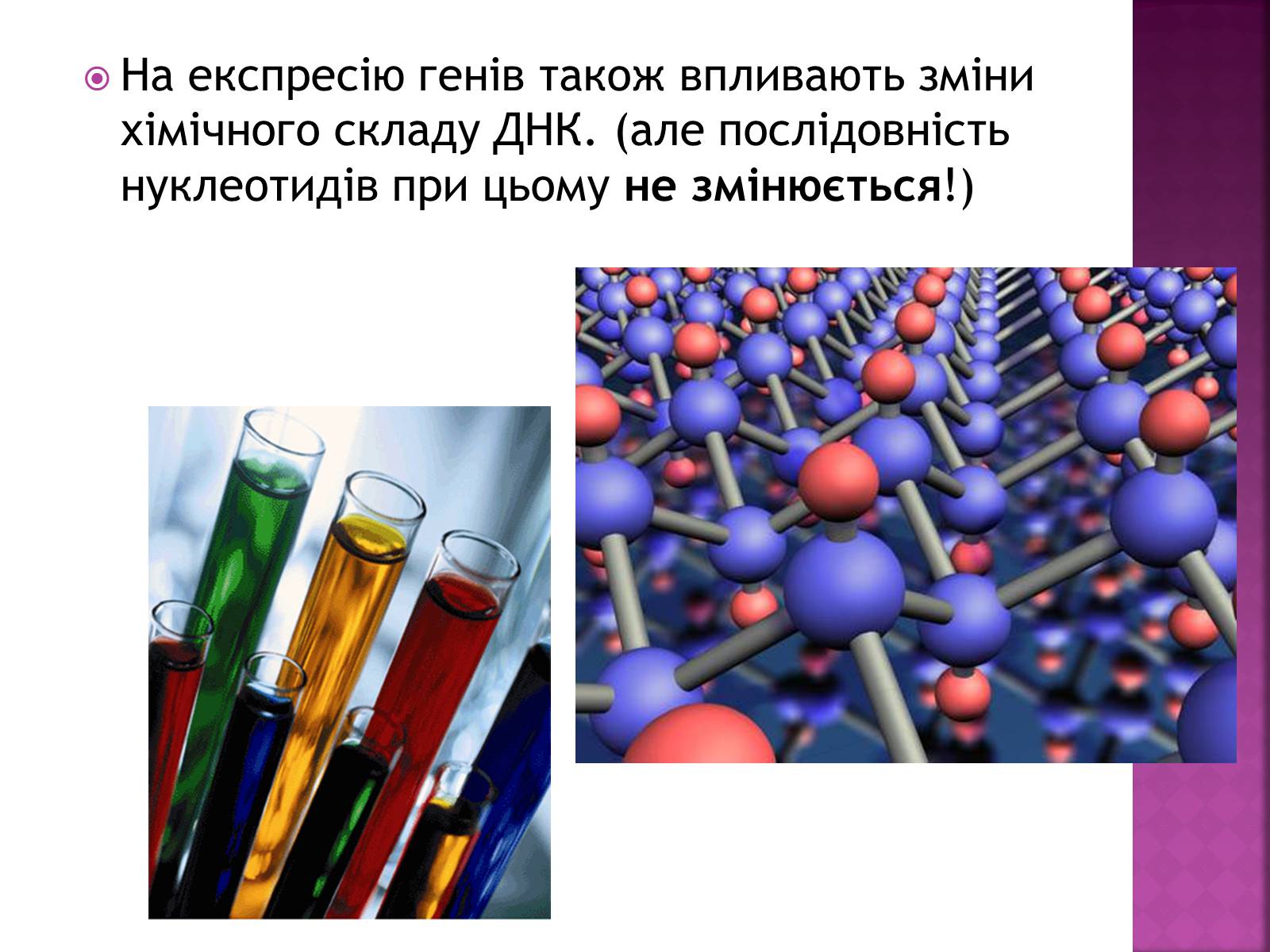 Презентація на тему «Основні закономірності функціонування генів у про – та еукаріотів» (варіант 2) - Слайд #21 Презентація на тему «Основні закономірності функціонування генів у про – та еукаріотів» (варіант 2) - Слайд #21