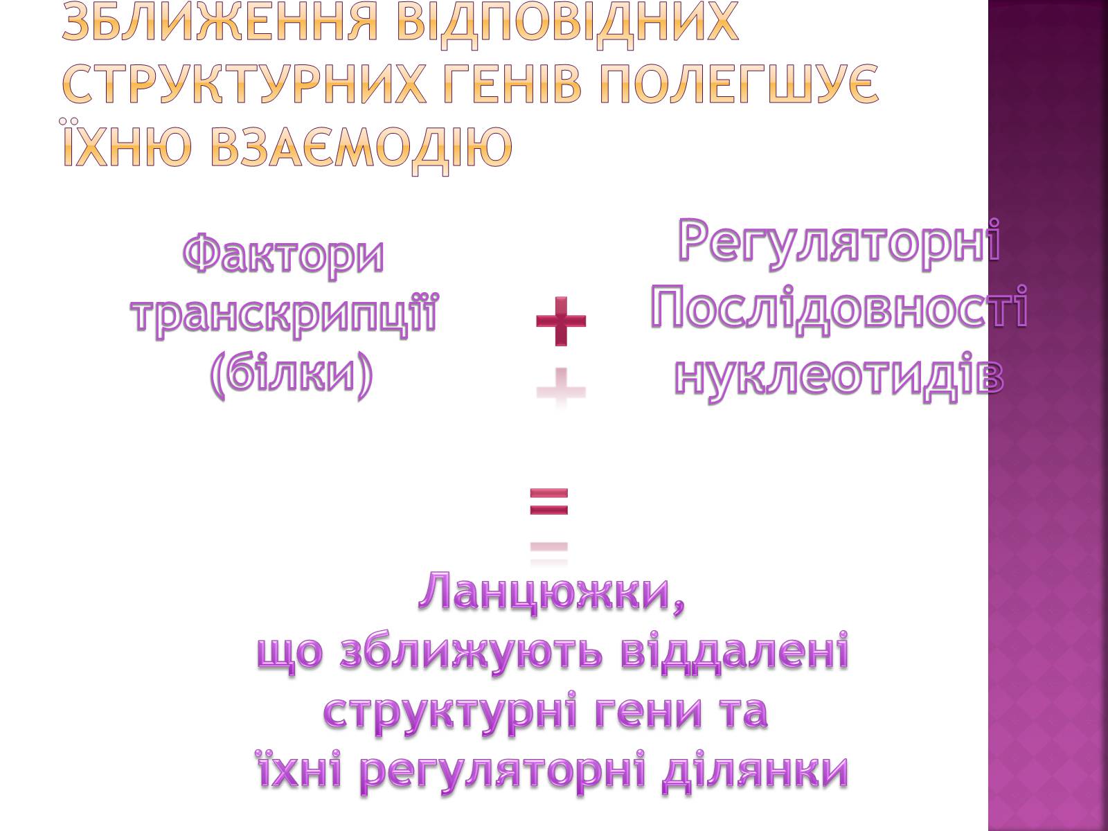 Презентація на тему «Основні закономірності функціонування генів у про – та еукаріотів» (варіант 2) - Слайд #22 Презентація на тему «Основні закономірності функціонування генів у про – та еукаріотів» (варіант 2) - Слайд #22