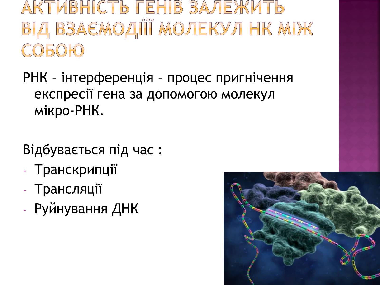 Презентація на тему «Основні закономірності функціонування генів у про – та еукаріотів» (варіант 2) - Слайд #23 Презентація на тему «Основні закономірності функціонування генів у про – та еукаріотів» (варіант 2) - Слайд #23