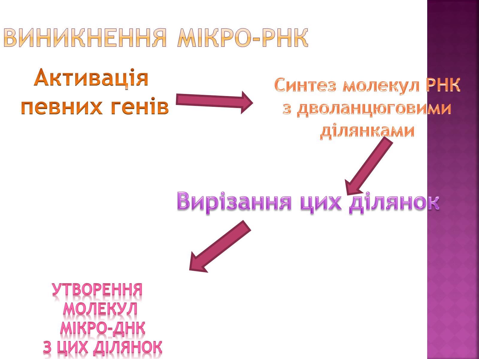 Презентація на тему «Основні закономірності функціонування генів у про – та еукаріотів» (варіант 2) - Слайд #25 Презентація на тему «Основні закономірності функціонування генів у про – та еукаріотів» (варіант 2) - Слайд #25