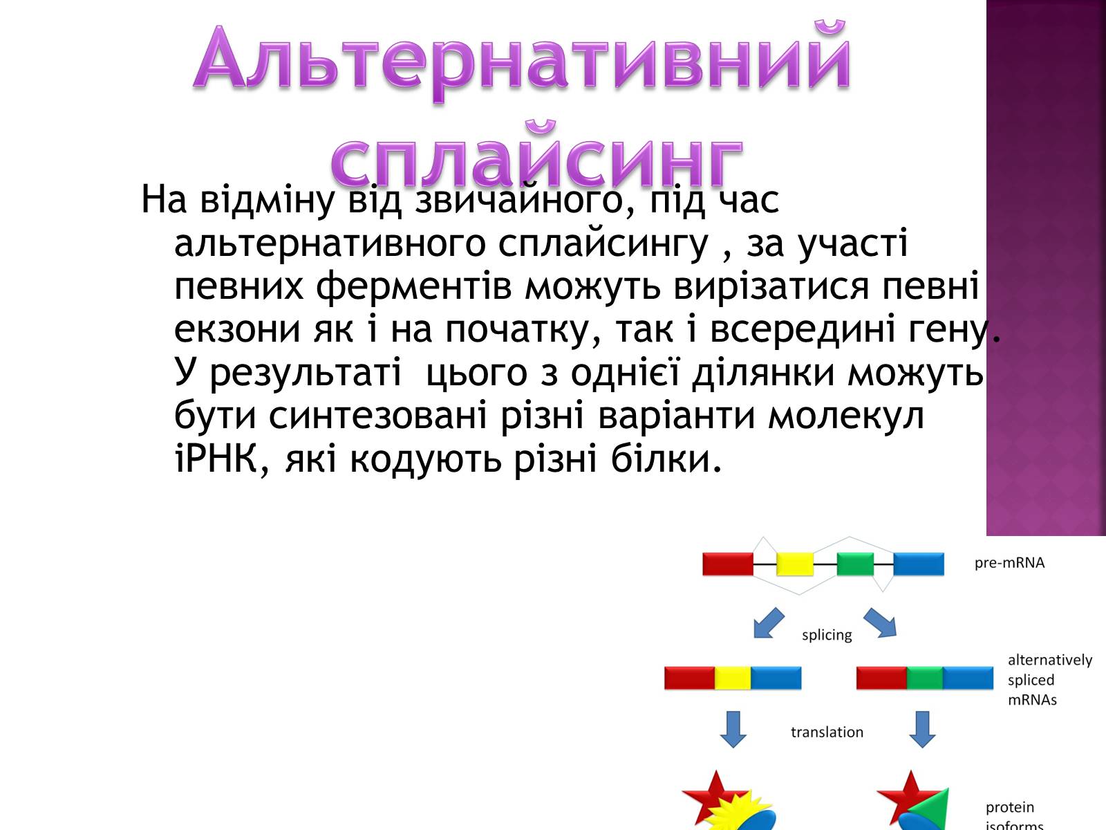 Презентація на тему «Основні закономірності функціонування генів у про – та еукаріотів» (варіант 2) - Слайд #31 Презентація на тему «Основні закономірності функціонування генів у про – та еукаріотів» (варіант 2) - Слайд #31