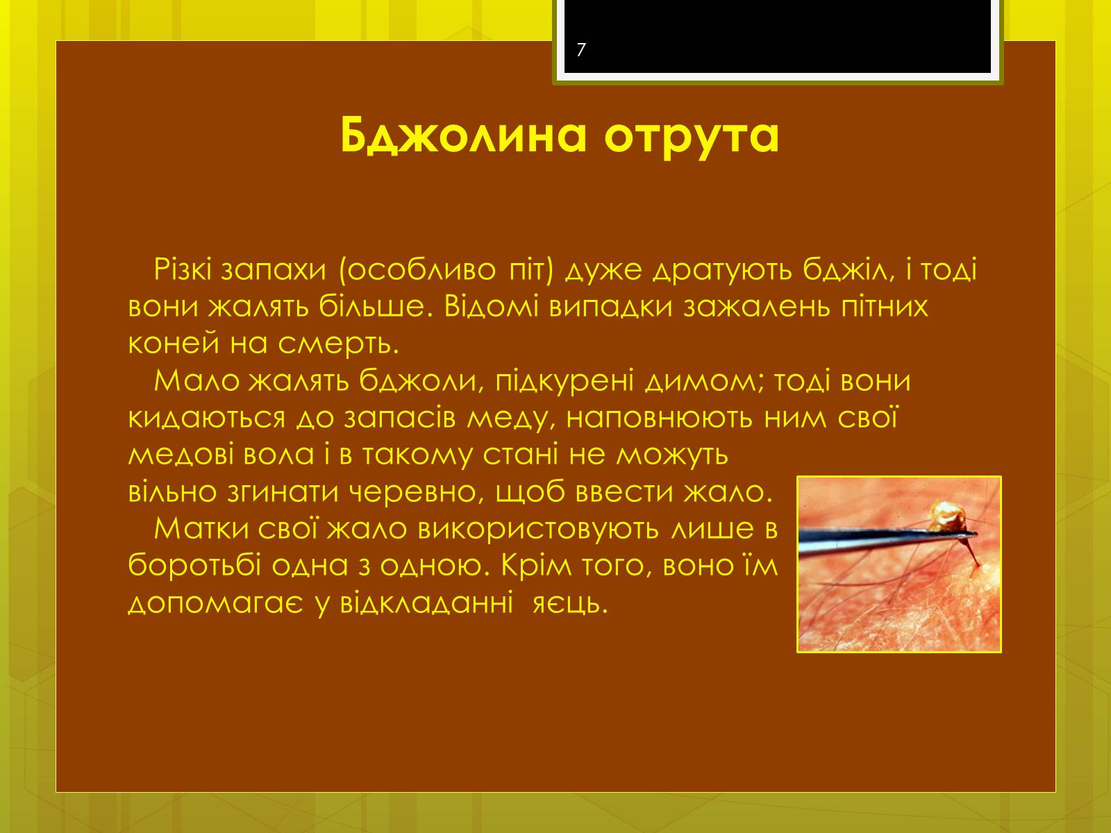 Презентація на тему «Клас комахи» - Слайд #7 Презентація на тему «Клас комахи» - Слайд #7