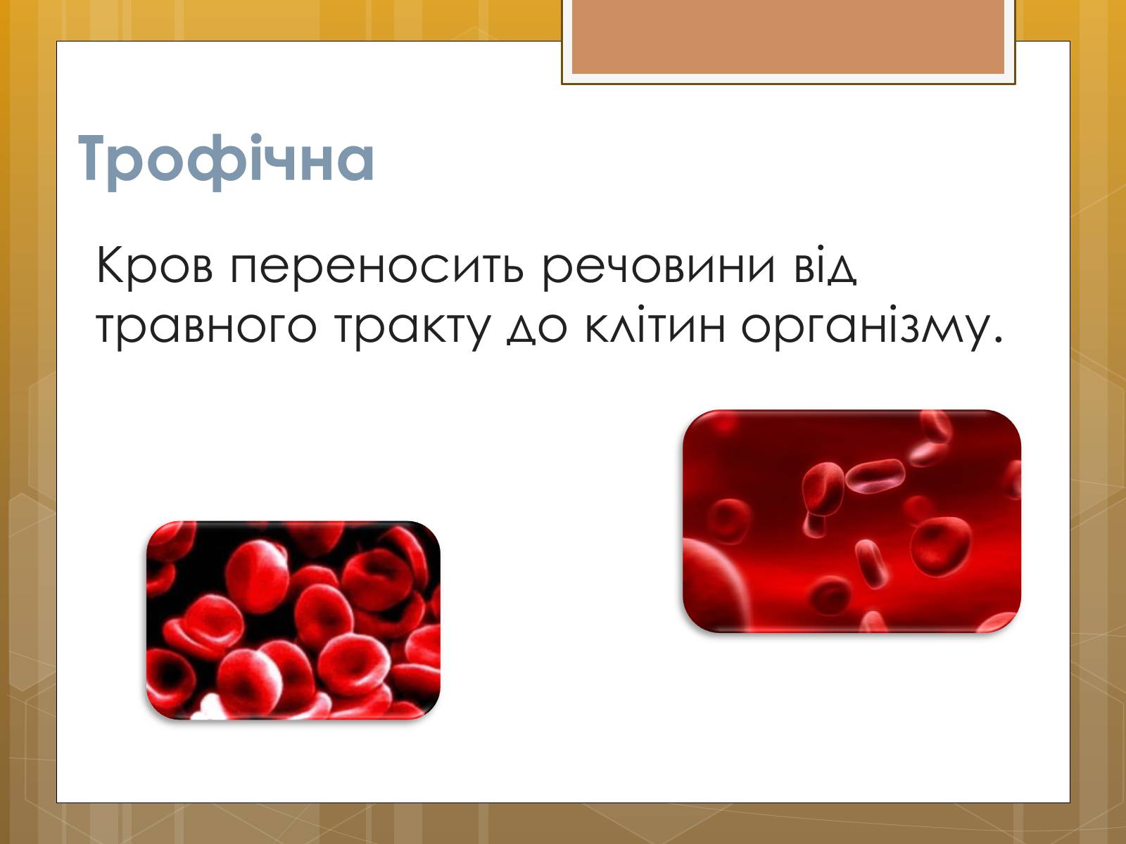 Презентація на тему «Функції крові. Групи крові» - Слайд #10 Презентація на тему «Функції крові. Групи крові» - Слайд #10