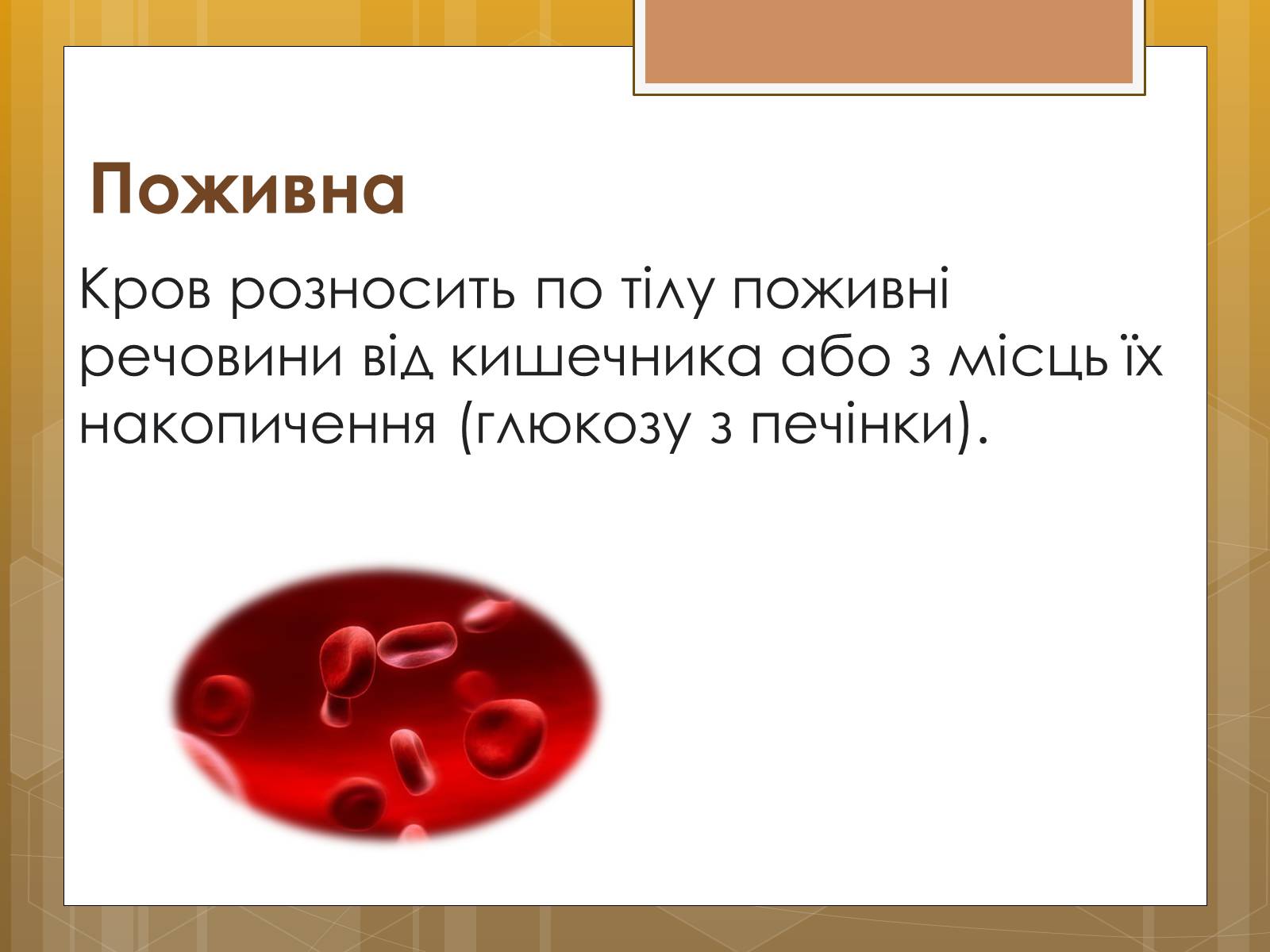 Презентація на тему «Функції крові. Групи крові» - Слайд #3 Презентація на тему «Функції крові. Групи крові» - Слайд #3