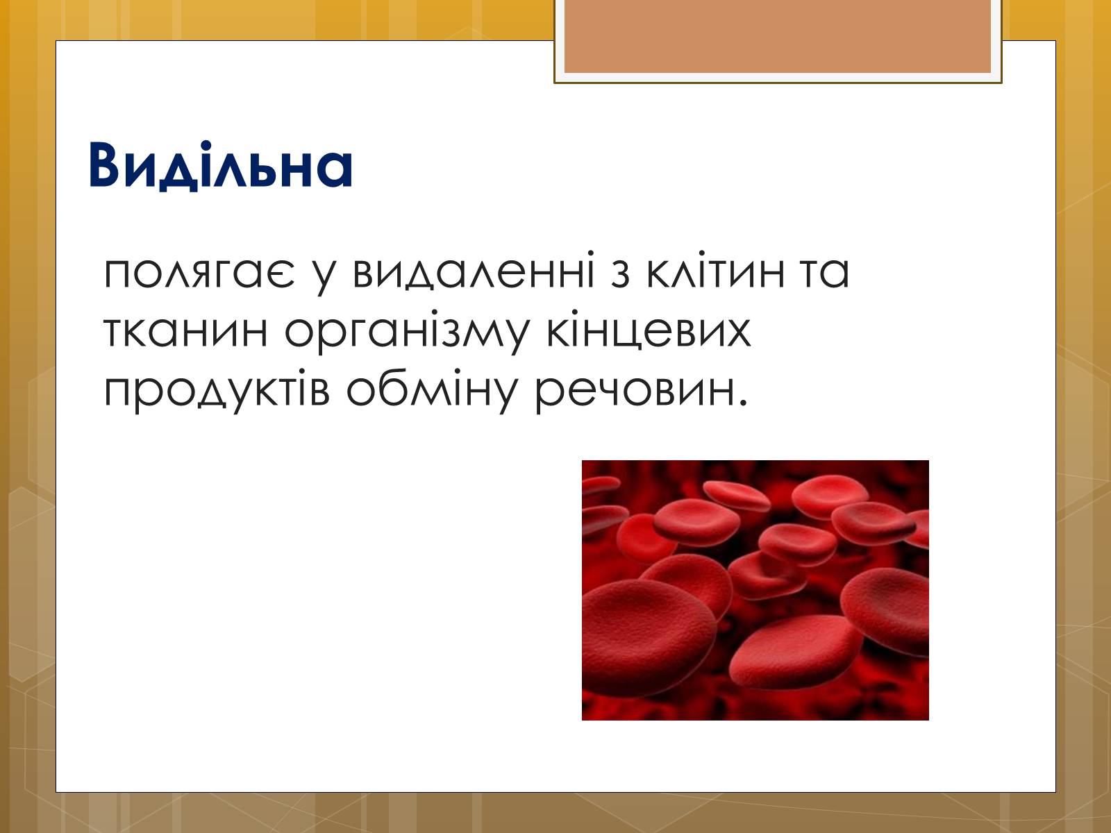 Презентація на тему «Функції крові. Групи крові» - Слайд #4 Презентація на тему «Функції крові. Групи крові» - Слайд #4