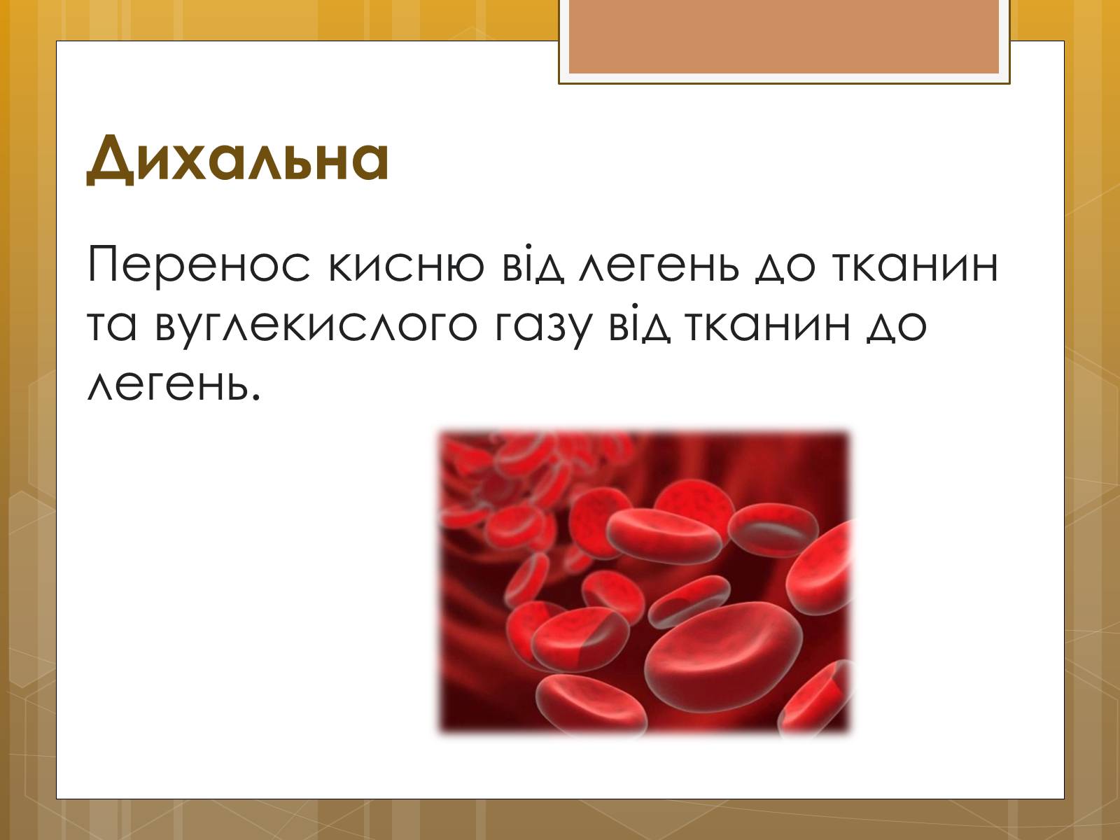 Презентація на тему «Функції крові. Групи крові» - Слайд #5 Презентація на тему «Функції крові. Групи крові» - Слайд #5