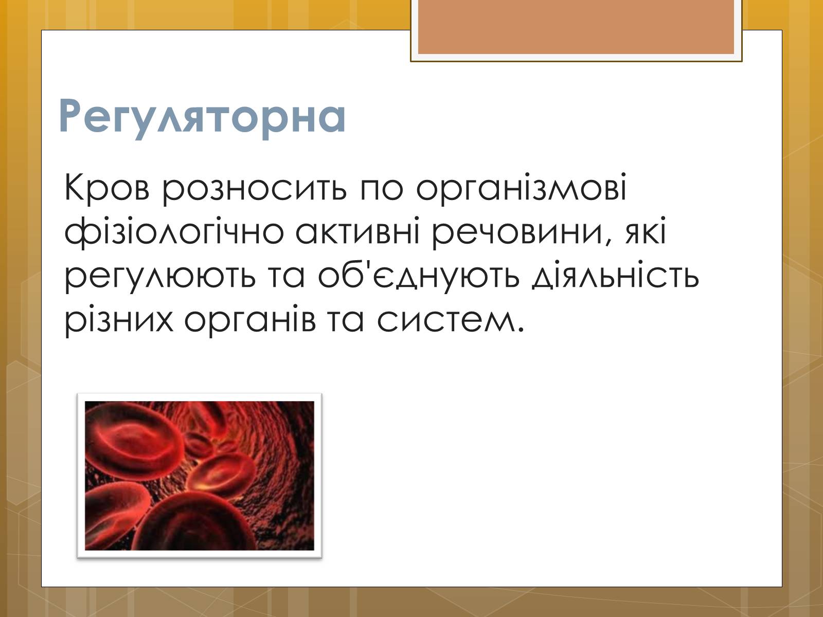 Презентація на тему «Функції крові. Групи крові» - Слайд #6 Презентація на тему «Функції крові. Групи крові» - Слайд #6