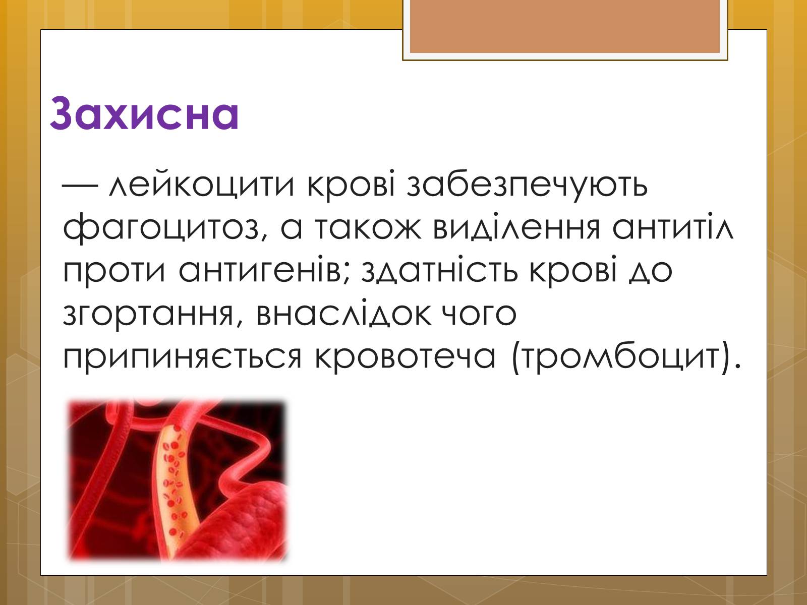 Презентація на тему «Функції крові. Групи крові» - Слайд #8 Презентація на тему «Функції крові. Групи крові» - Слайд #8