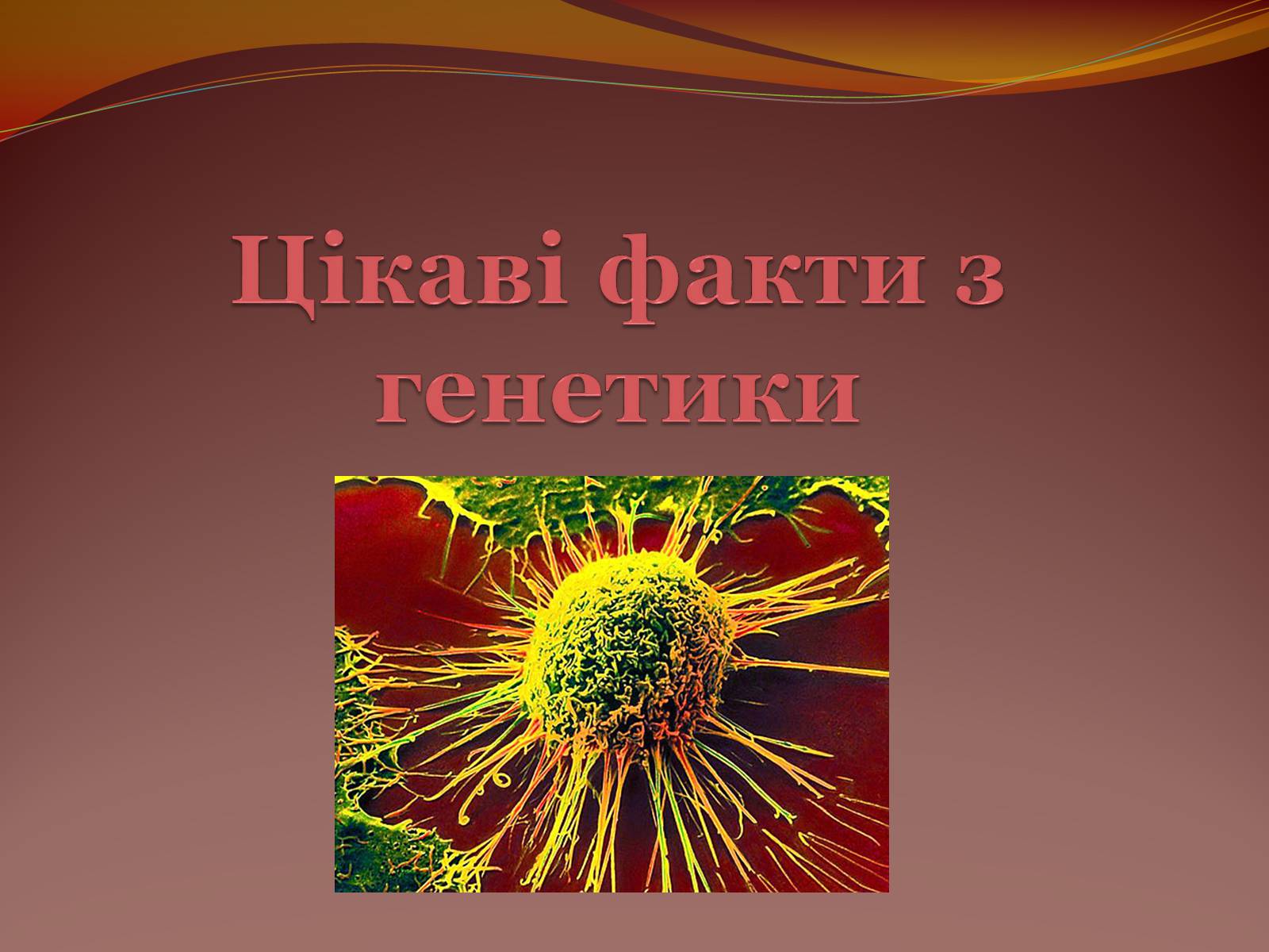 Презентація на тему «Цікаві факти з генетики» - Слайд #1 Презентація на тему «Цікаві факти з генетики» - Слайд #1