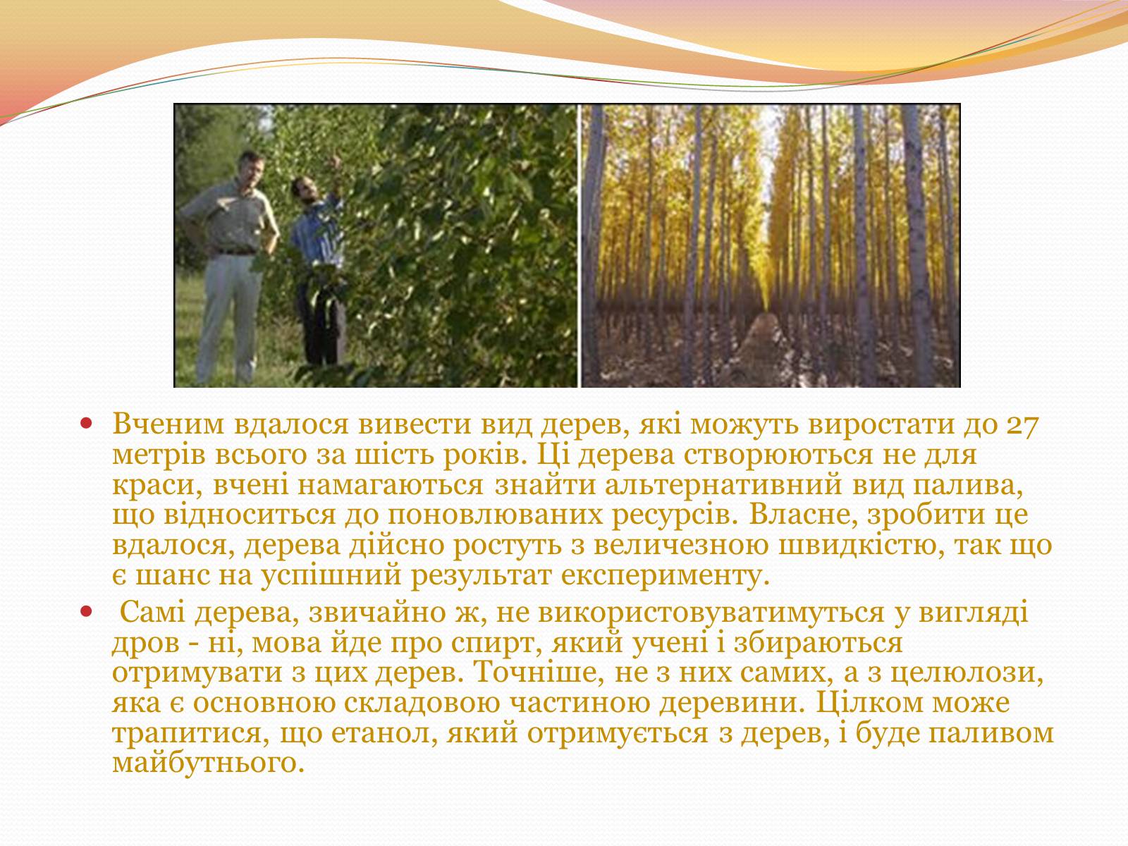 Презентація на тему «Цікаві факти з генетики» - Слайд #10 Презентація на тему «Цікаві факти з генетики» - Слайд #10