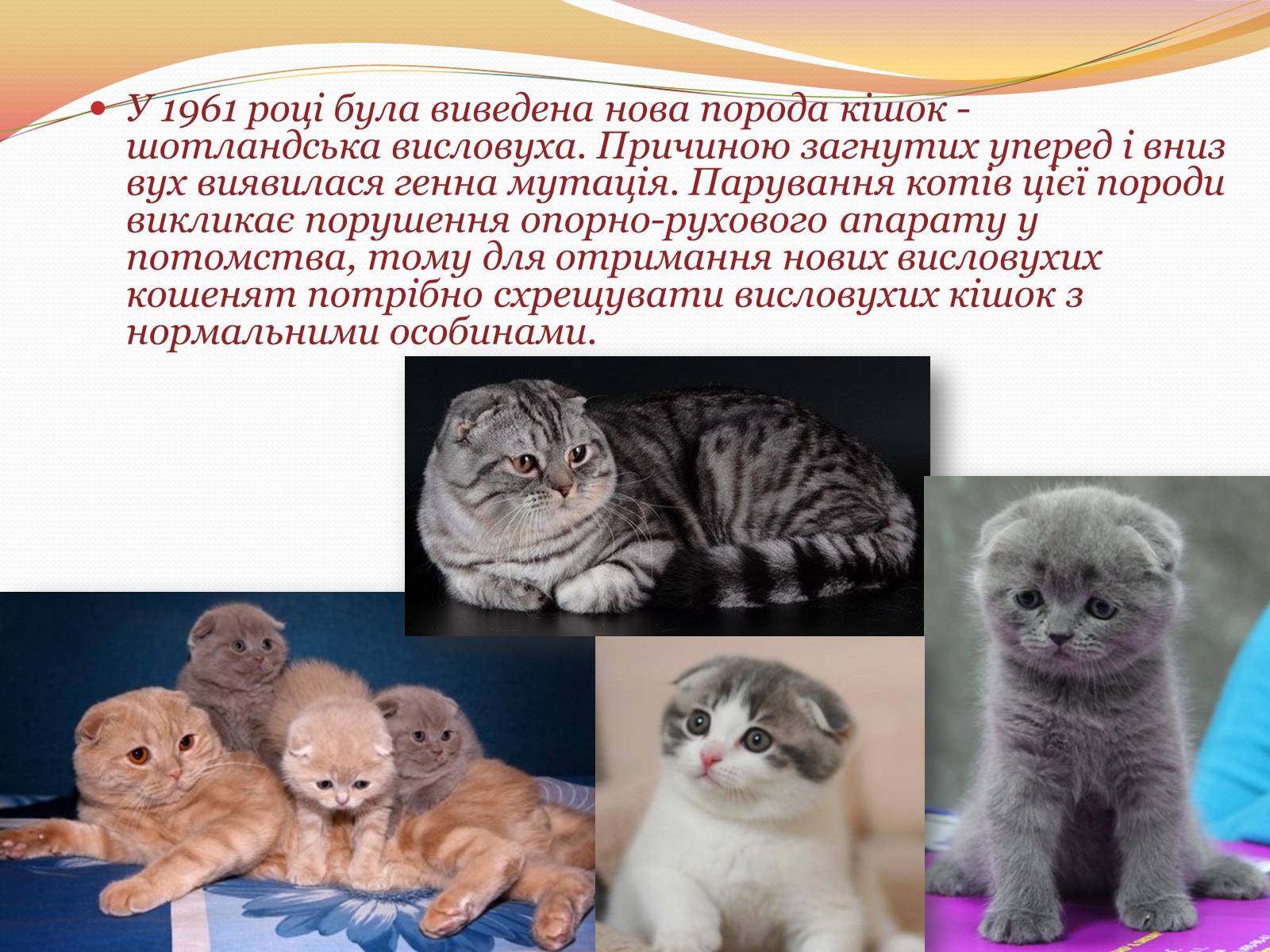 Презентація на тему «Цікаві факти з генетики» - Слайд #7 Презентація на тему «Цікаві факти з генетики» - Слайд #7