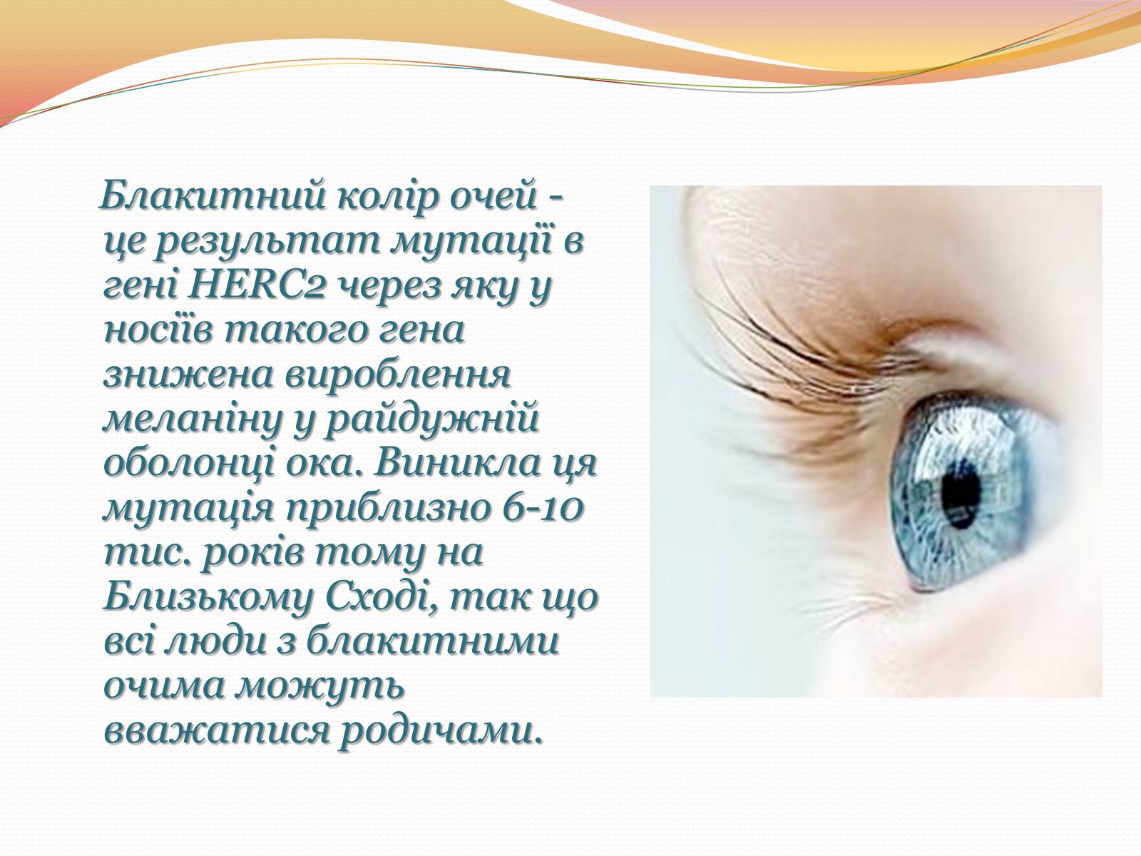 Презентація на тему «Цікаві факти з генетики» - Слайд #8 Презентація на тему «Цікаві факти з генетики» - Слайд #8