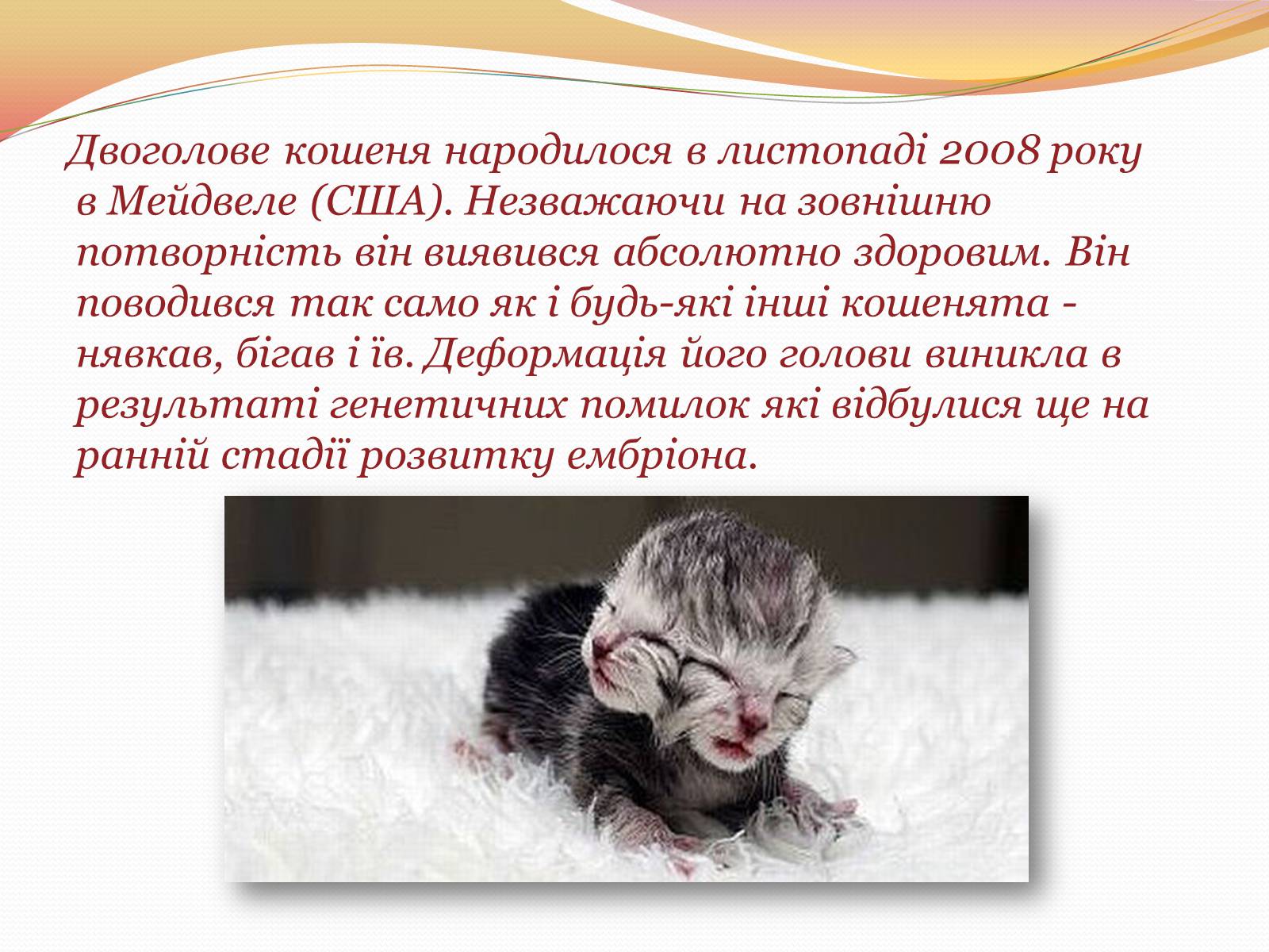 Презентація на тему «Цікаві факти з генетики» - Слайд #9 Презентація на тему «Цікаві факти з генетики» - Слайд #9
