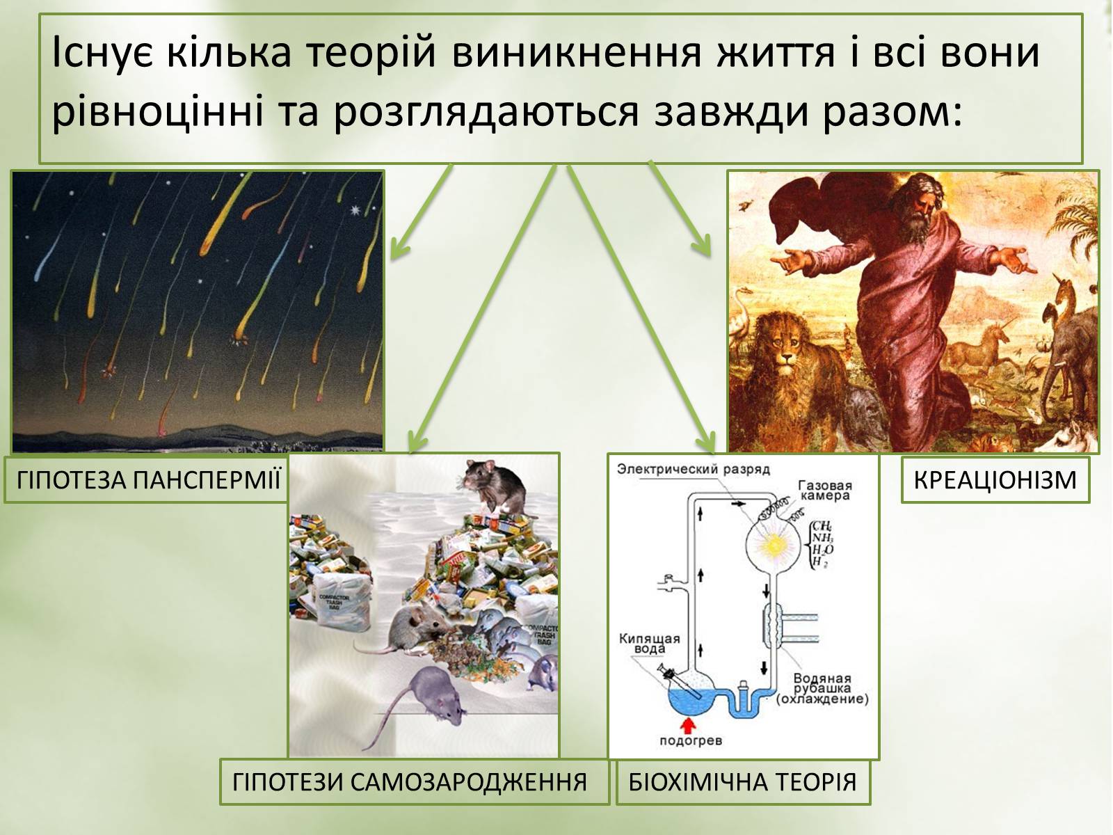 Презентація на тему «Гіпотези виникнення життя» (варіант 2) - Слайд #3 Презентація на тему «Гіпотези виникнення життя» (варіант 2) - Слайд #3