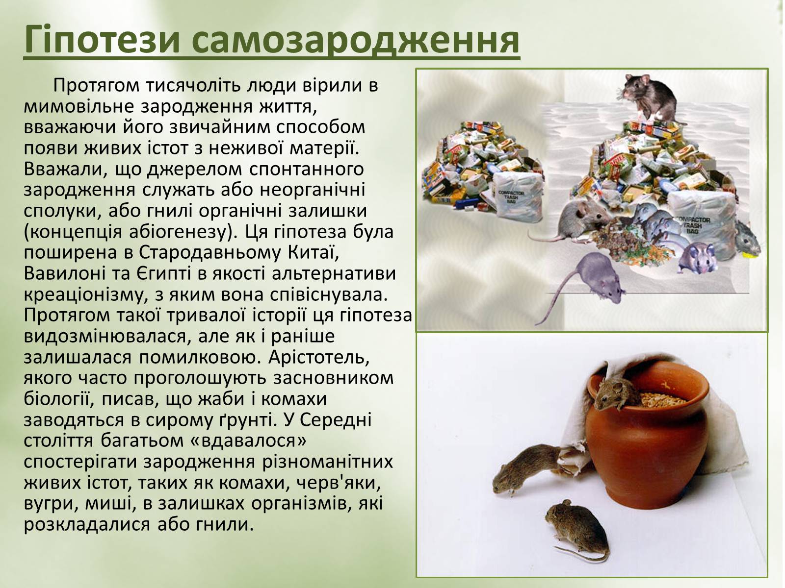 Презентація на тему «Гіпотези виникнення життя» (варіант 2) - Слайд #5 Презентація на тему «Гіпотези виникнення життя» (варіант 2) - Слайд #5