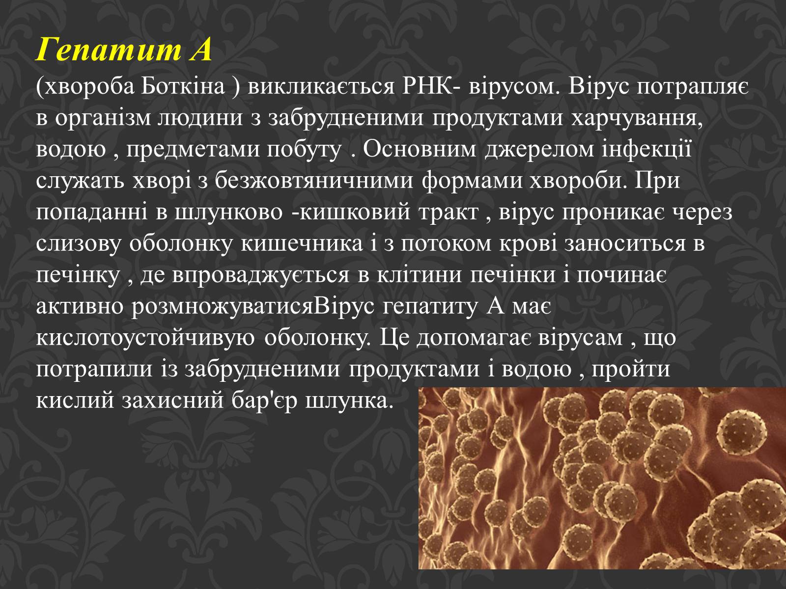 Презентація на тему «Гепатит» (варіант 3) - Слайд #4 Презентація на тему «Гепатит» (варіант 3) - Слайд #4