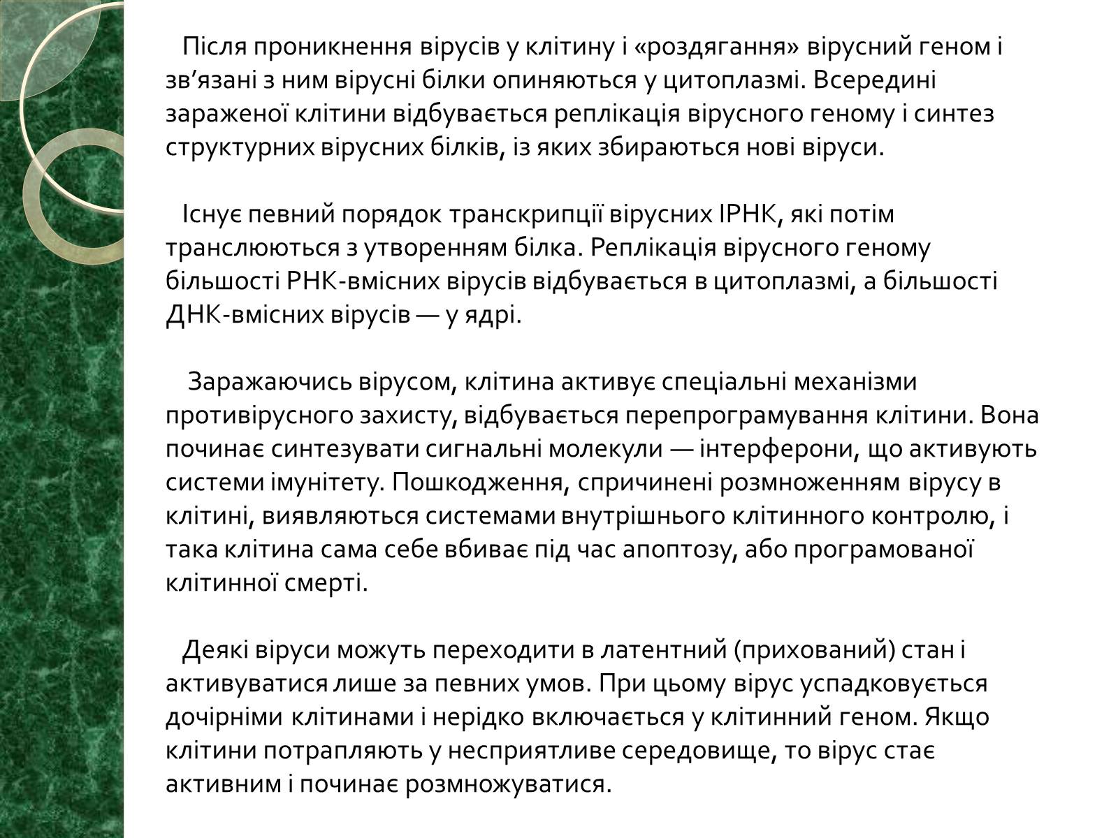 Презентація на тему «Віруси» (варіант 15) - Слайд #12 Презентація на тему «Віруси» (варіант 15) - Слайд #12
