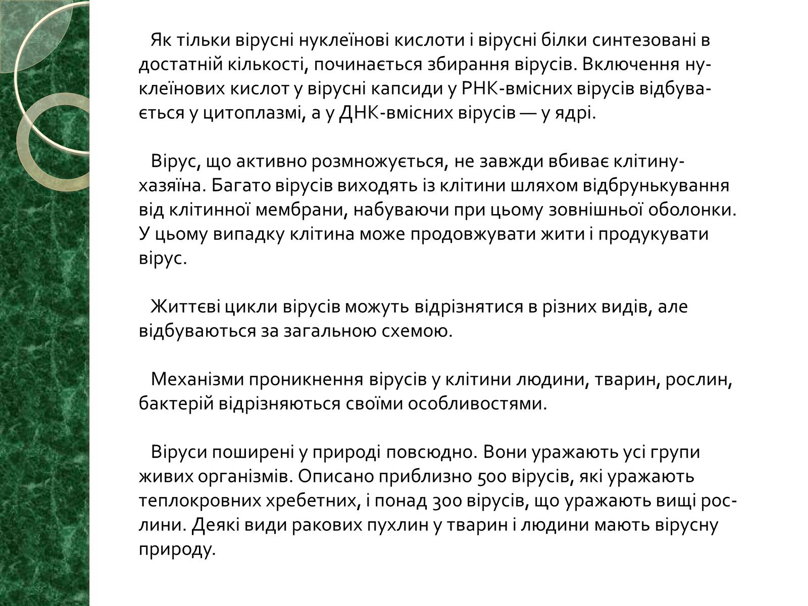 Презентація на тему «Віруси» (варіант 15) - Слайд #13 Презентація на тему «Віруси» (варіант 15) - Слайд #13