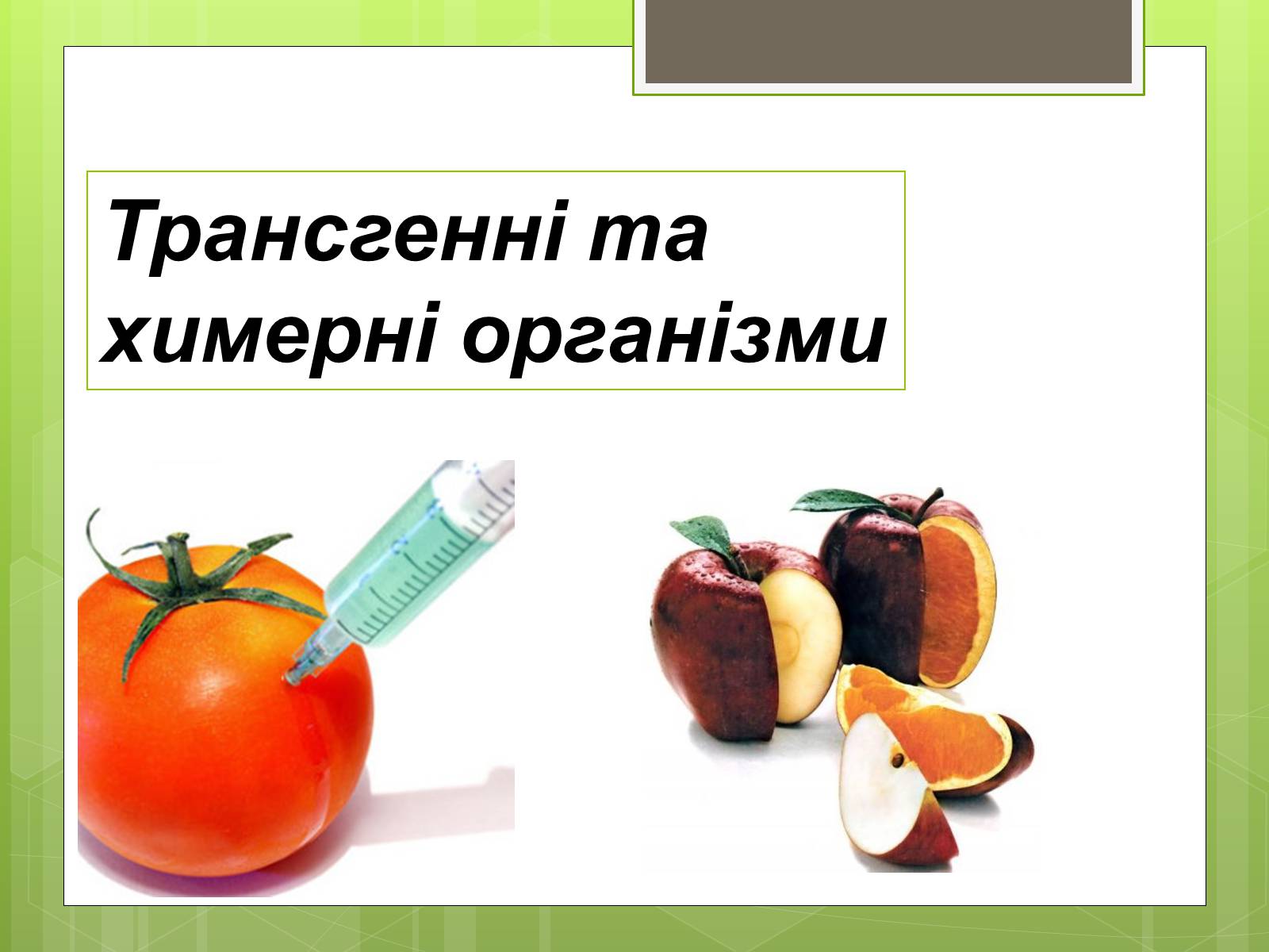 Презентація на тему «Трансгенні організми» (варіант 2) - Слайд #1 Презентація на тему «Трансгенні організми» (варіант 2) - Слайд #1