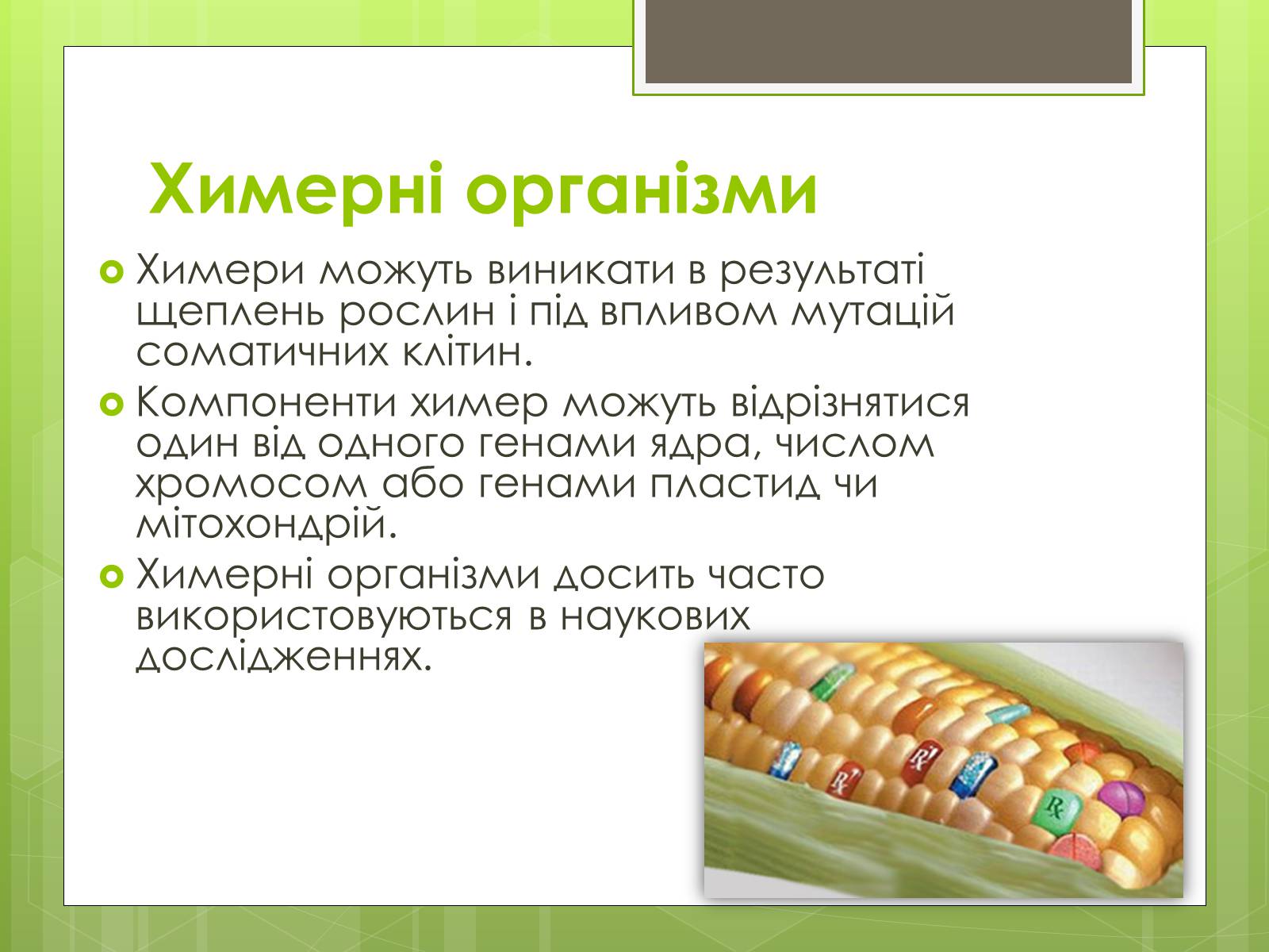 Презентація на тему «Трансгенні організми» (варіант 2) - Слайд #16 Презентація на тему «Трансгенні організми» (варіант 2) - Слайд #16