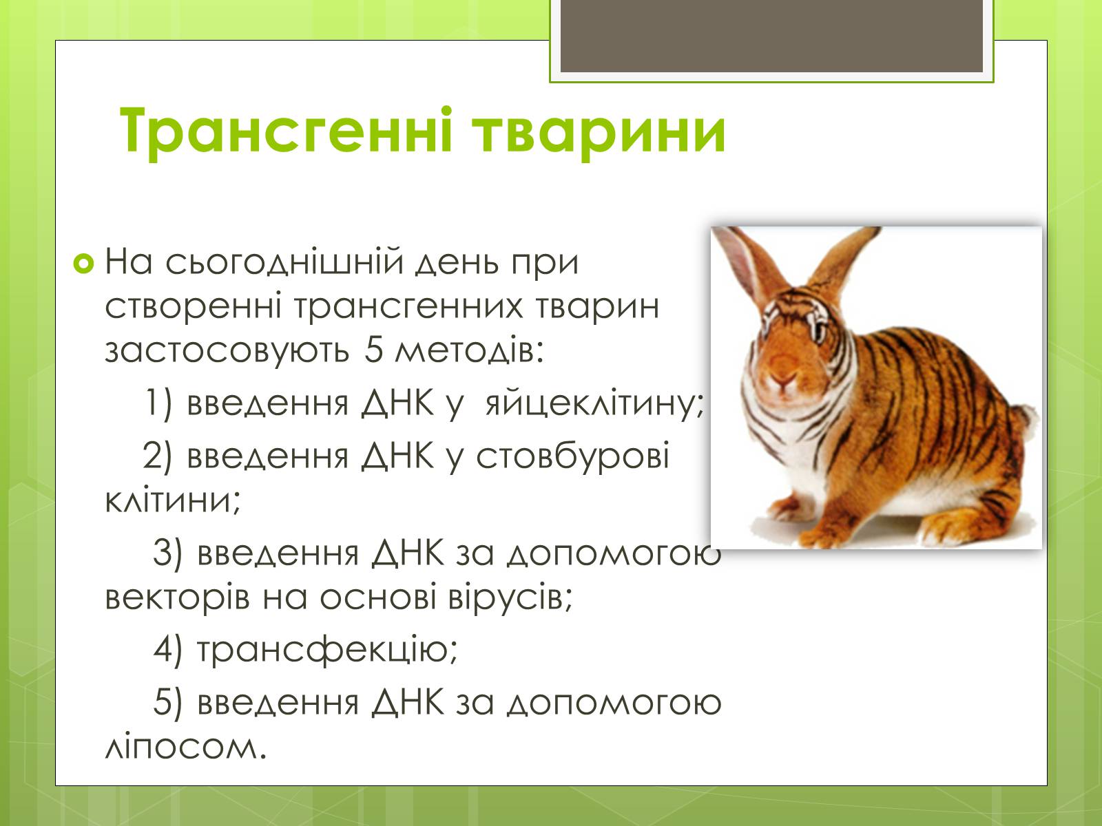 Презентація на тему «Трансгенні організми» (варіант 2) - Слайд #6 Презентація на тему «Трансгенні організми» (варіант 2) - Слайд #6