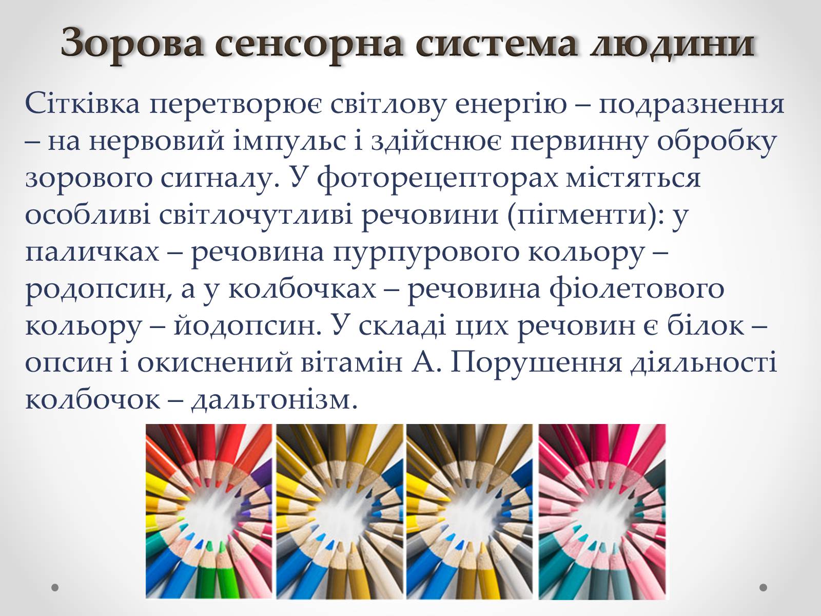 Презентація на тему «Зорова сенсорна система людини» - Слайд #11 Презентація на тему «Зорова сенсорна система людини» - Слайд #11