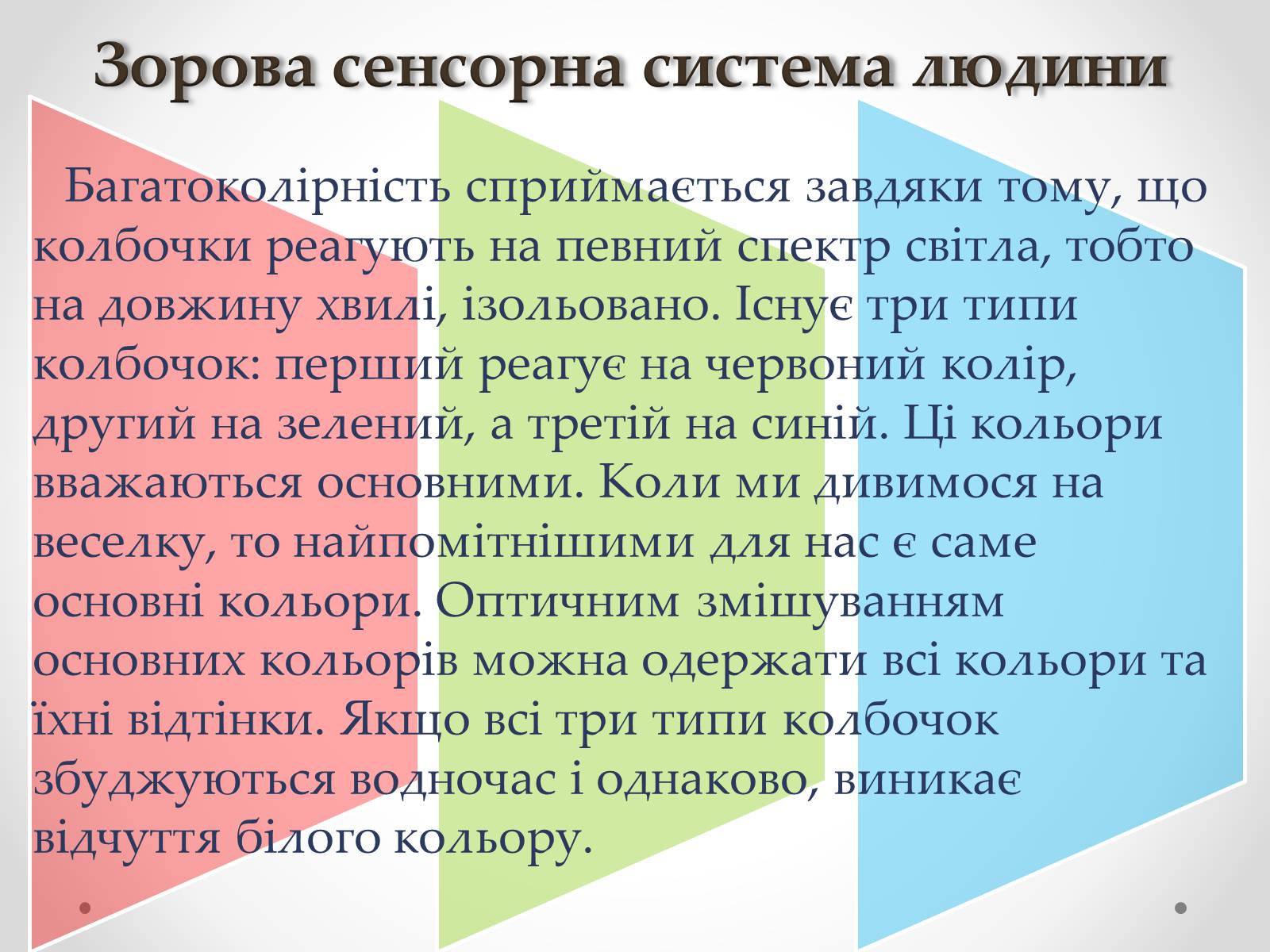 Презентація на тему «Зорова сенсорна система людини» - Слайд #15 Презентація на тему «Зорова сенсорна система людини» - Слайд #15