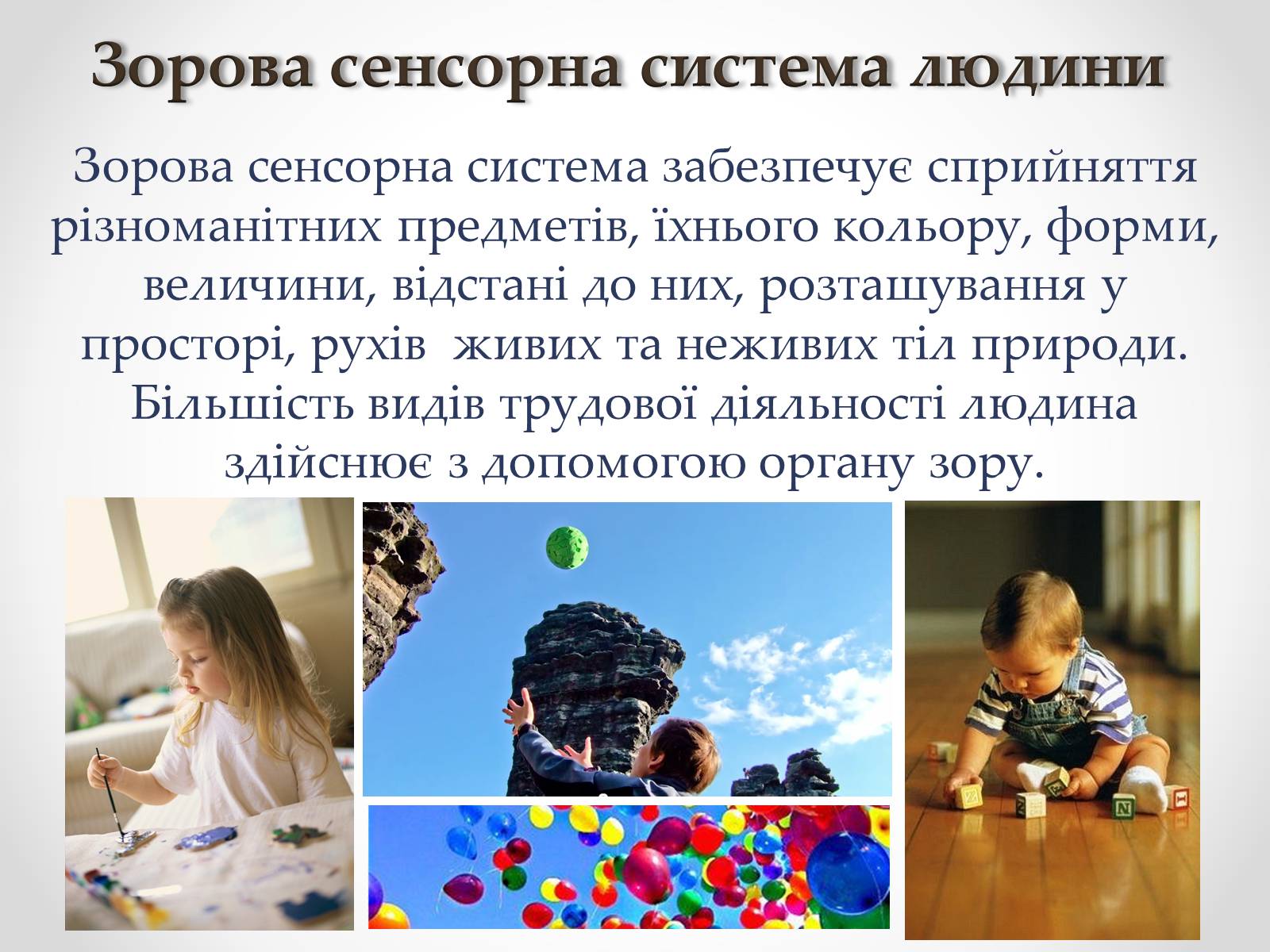 Презентація на тему «Зорова сенсорна система людини» - Слайд #2 Презентація на тему «Зорова сенсорна система людини» - Слайд #2