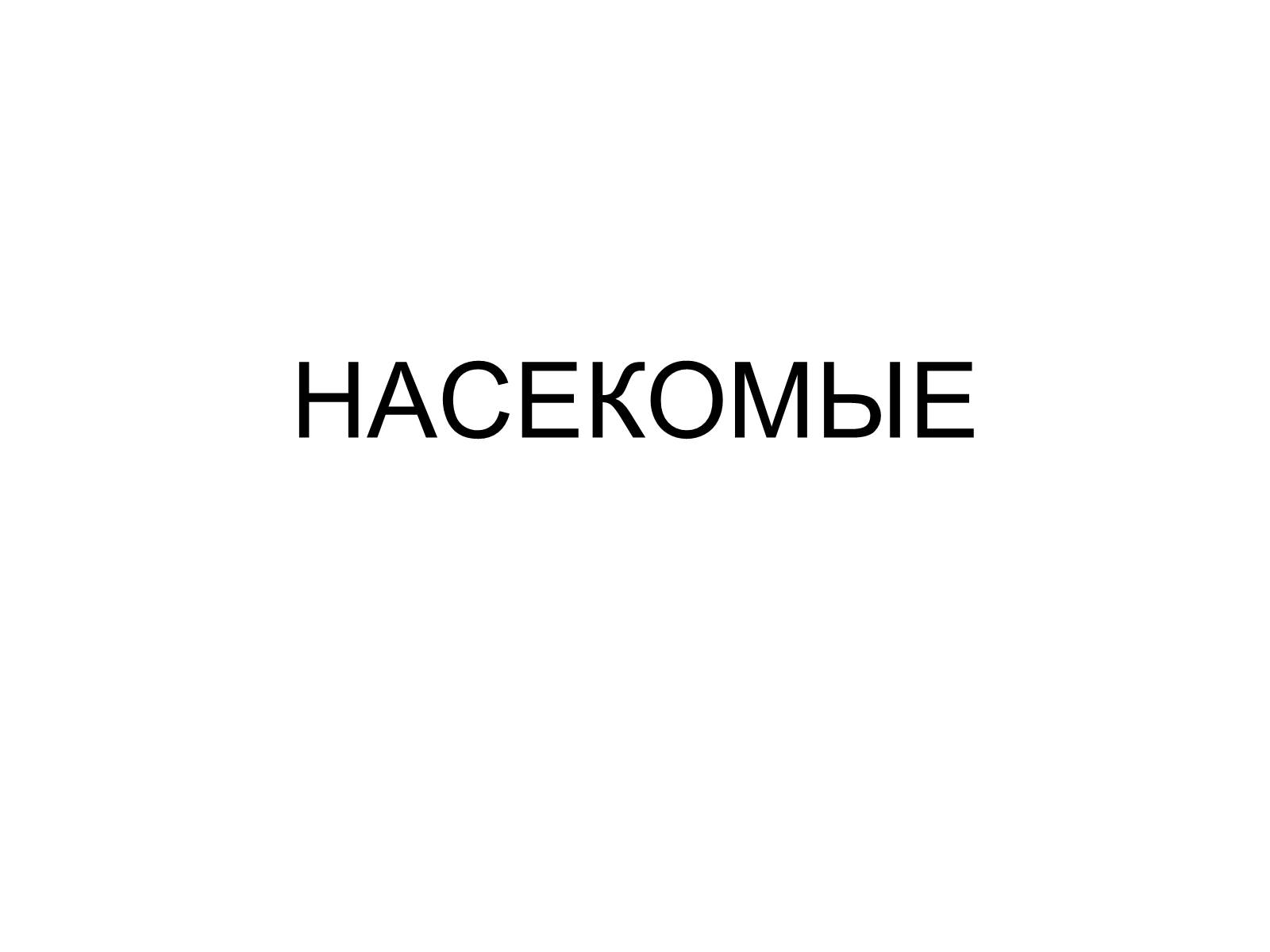 Презентація на тему «Насекомые» (варіант 2) - Слайд #1 Презентація на тему «Насекомые» (варіант 2) - Слайд #1