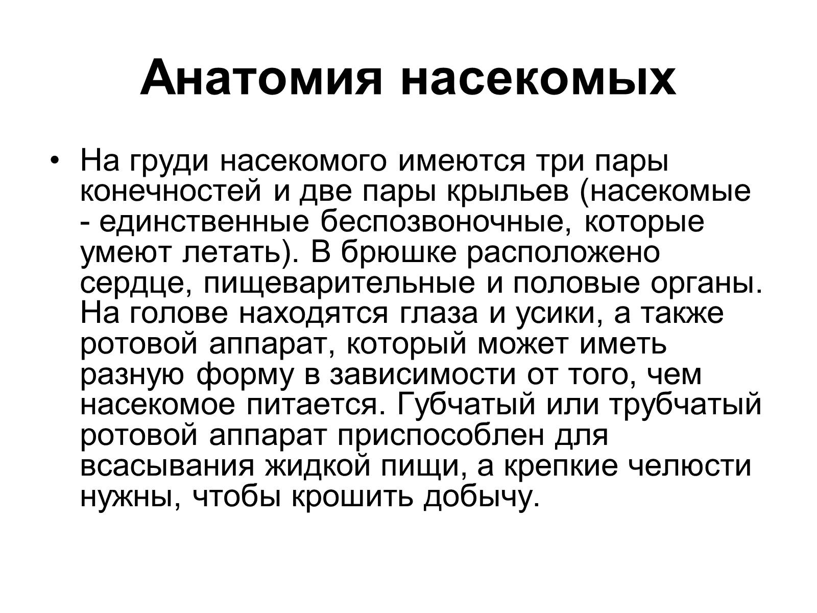 Презентація на тему «Насекомые» (варіант 2) - Слайд #3 Презентація на тему «Насекомые» (варіант 2) - Слайд #3