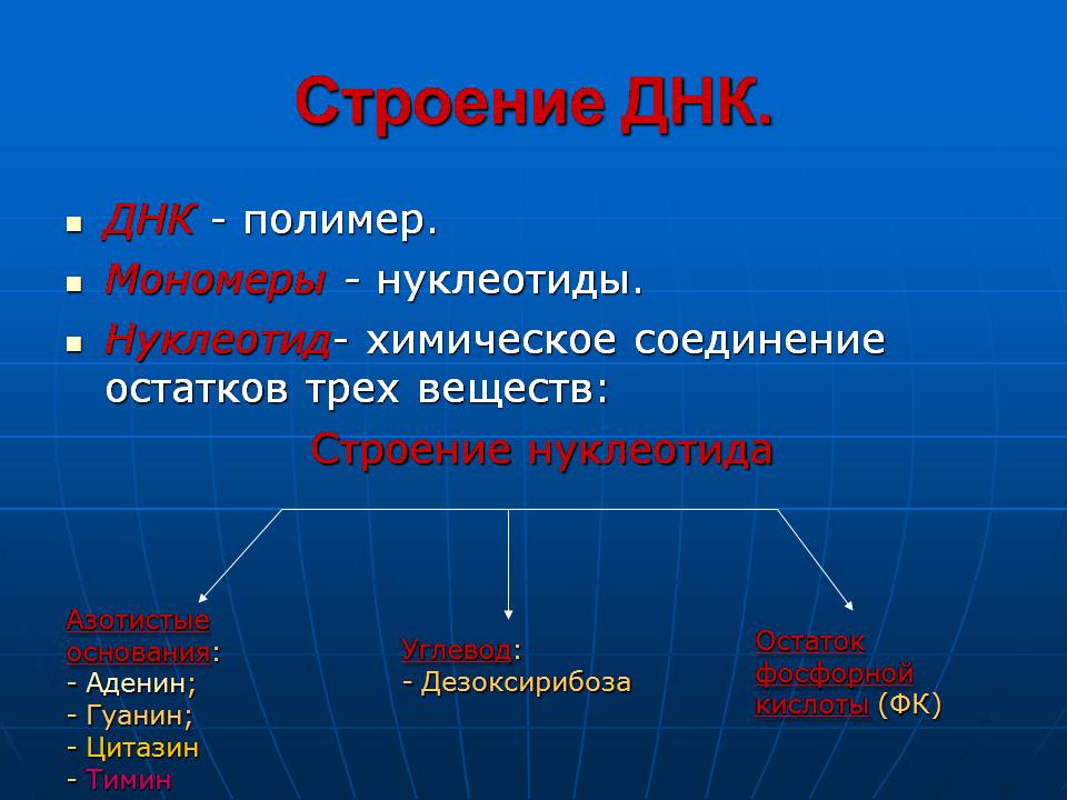 Презентація на тему «ДНК» (варіант 3) - Слайд #12 Презентація на тему «ДНК» (варіант 3) - Слайд #12