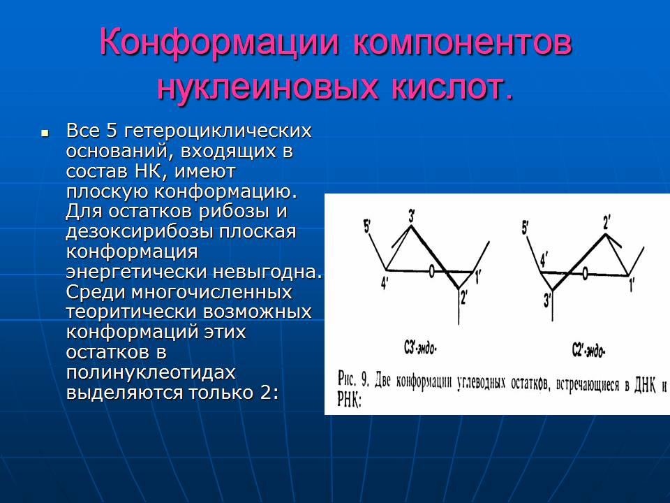 Презентація на тему «ДНК» (варіант 3) - Слайд #13 Презентація на тему «ДНК» (варіант 3) - Слайд #13