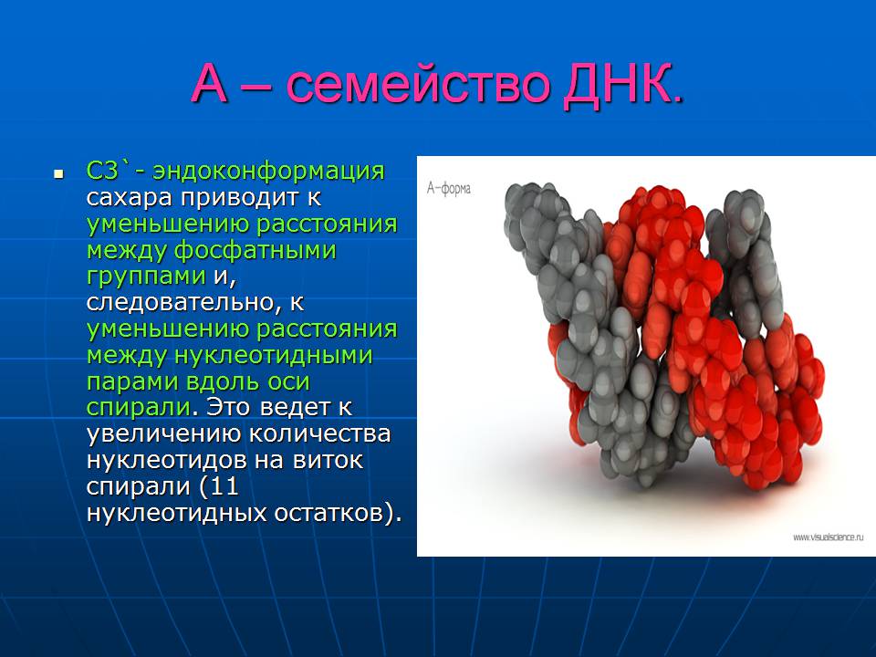 Презентація на тему «ДНК» (варіант 3) - Слайд #19 Презентація на тему «ДНК» (варіант 3) - Слайд #19