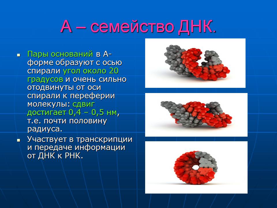 Презентація на тему «ДНК» (варіант 3) - Слайд #20 Презентація на тему «ДНК» (варіант 3) - Слайд #20