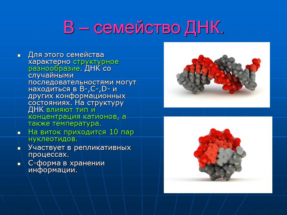 Презентація на тему «ДНК» (варіант 3) - Слайд #22 Презентація на тему «ДНК» (варіант 3) - Слайд #22
