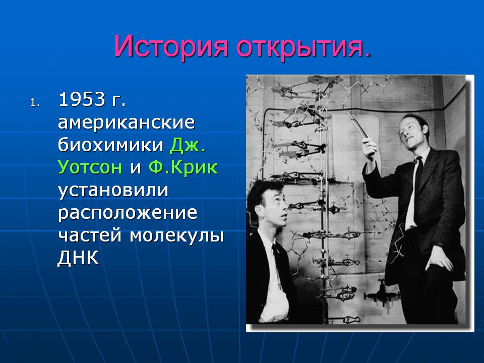 Презентація на тему «ДНК» (варіант 3) - Слайд #8 Презентація на тему «ДНК» (варіант 3) - Слайд #8