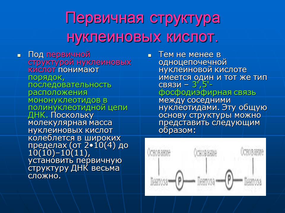 Презентація на тему «ДНК» (варіант 3) - Слайд #9 Презентація на тему «ДНК» (варіант 3) - Слайд #9