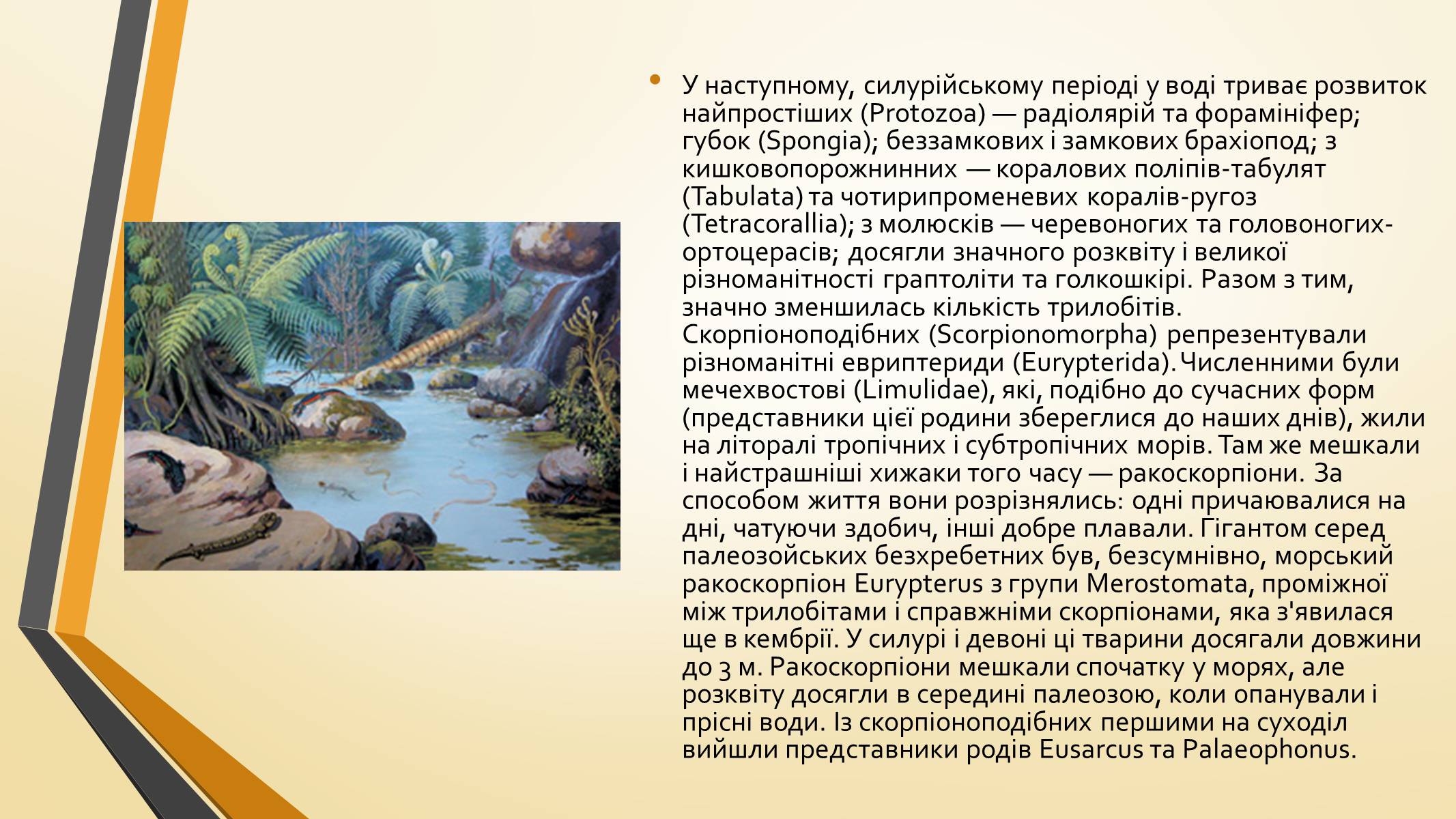 Презентація на тему «Тварини палеозою» - Слайд #14 Презентація на тему «Тварини палеозою» - Слайд #14