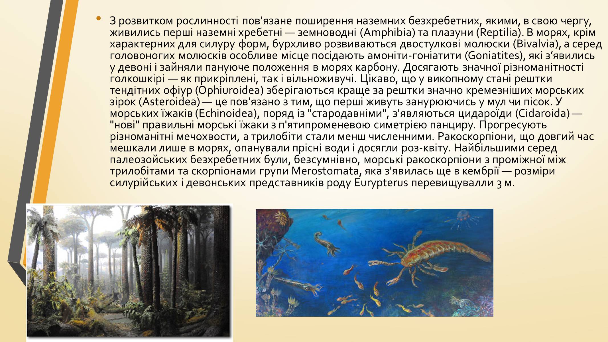 Презентація на тему «Тварини палеозою» - Слайд #16 Презентація на тему «Тварини палеозою» - Слайд #16