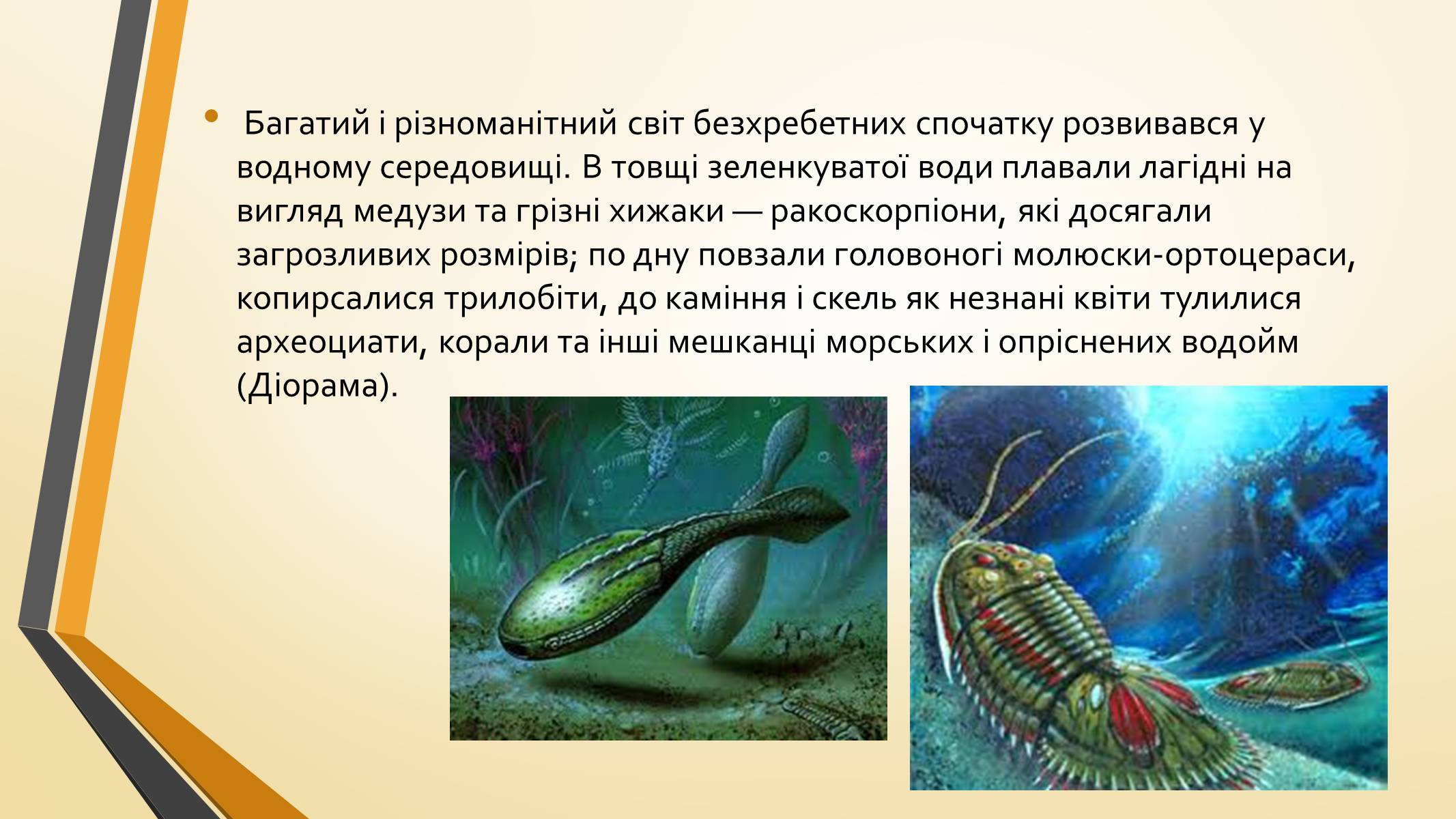 Презентація на тему «Тварини палеозою» - Слайд #4 Презентація на тему «Тварини палеозою» - Слайд #4