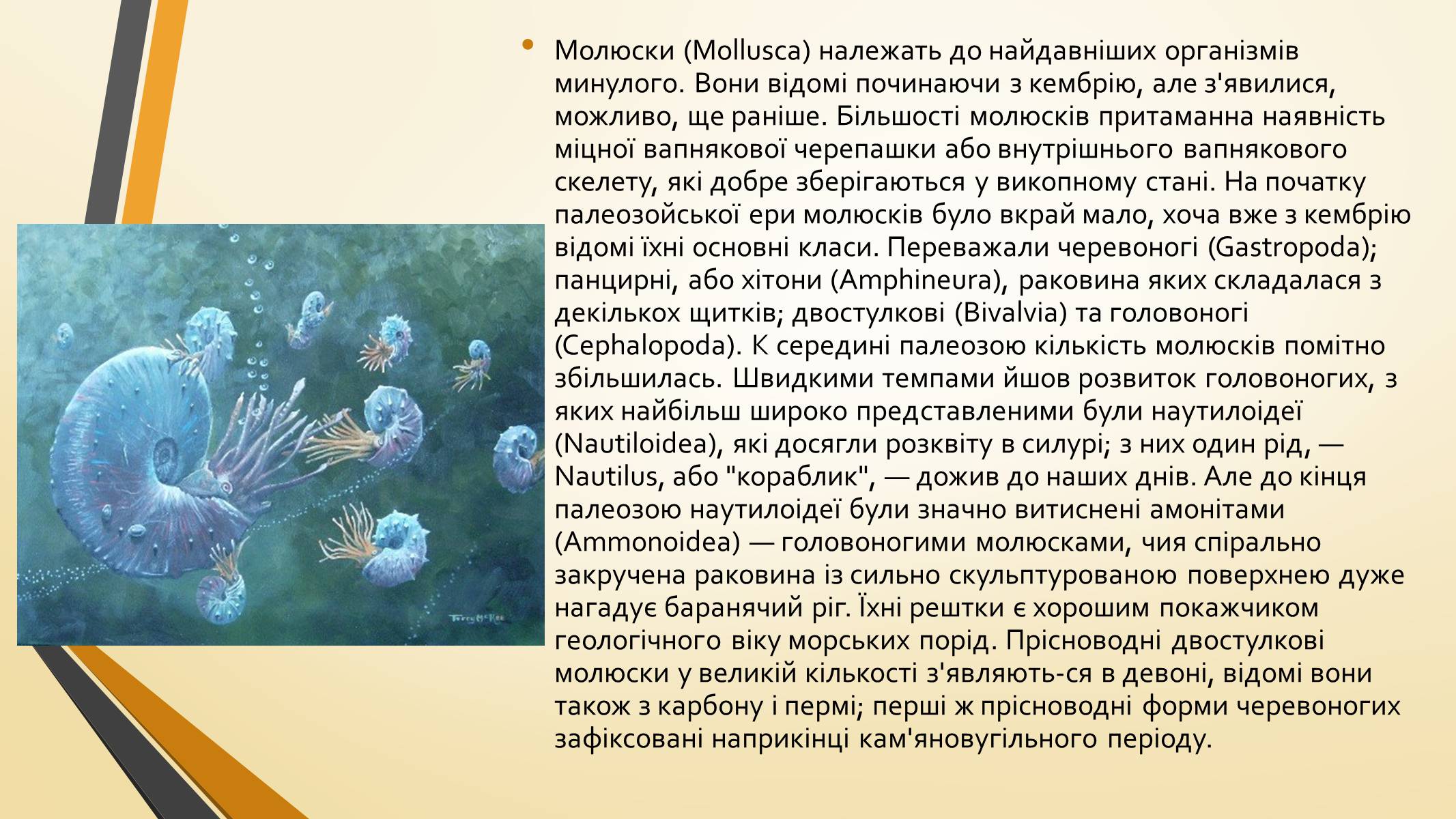 Презентація на тему «Тварини палеозою» - Слайд #5 Презентація на тему «Тварини палеозою» - Слайд #5