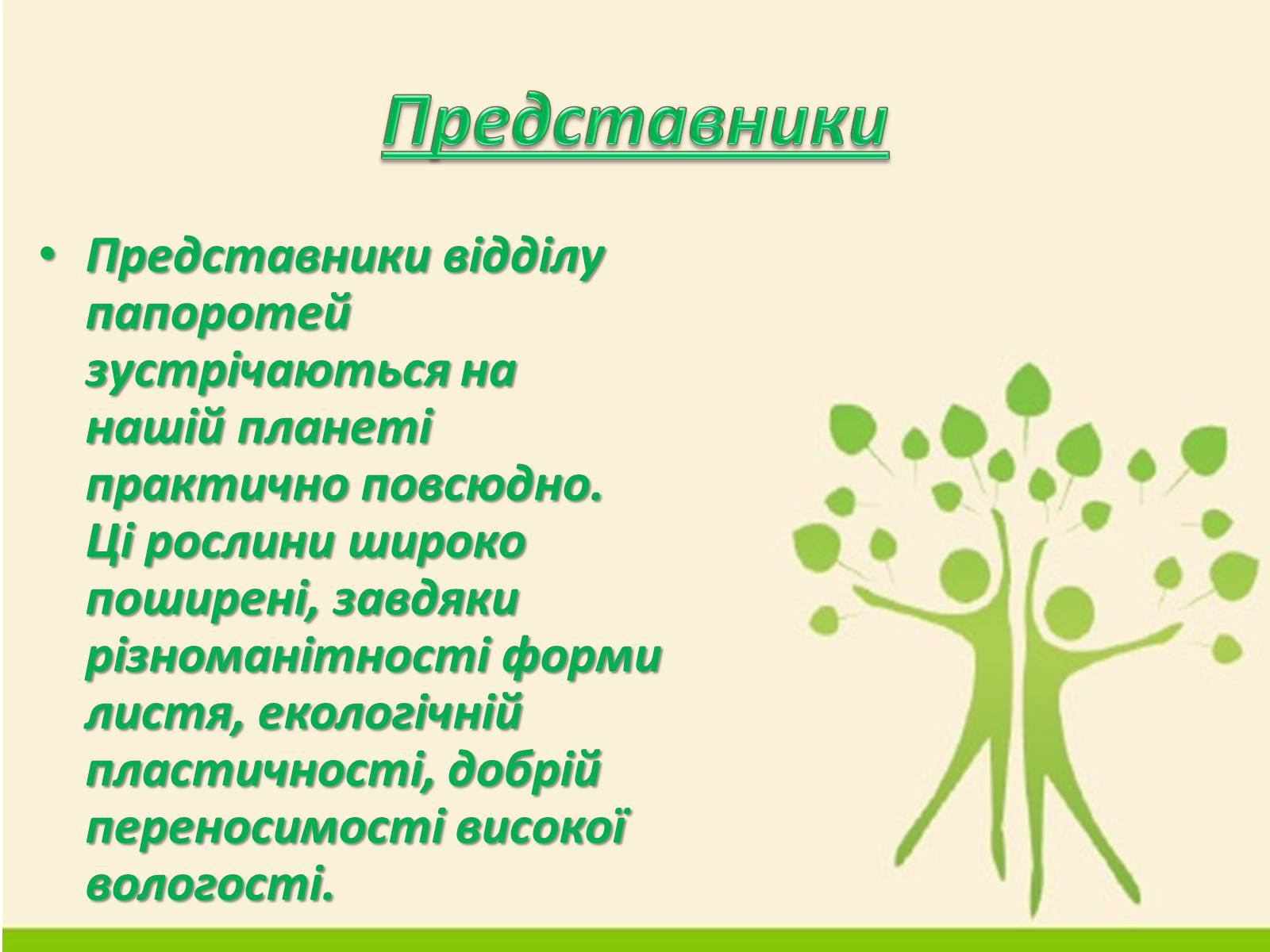 Презентація на тему «Папороті» - Слайд #3 Презентація на тему «Папороті» - Слайд #3