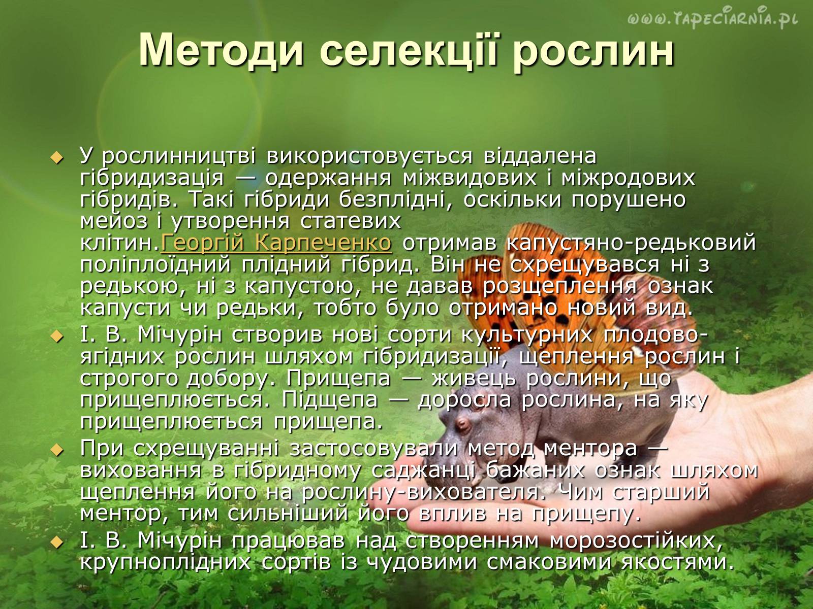 Презентація на тему «Основні поняття про селекції організмів» - Слайд #9
