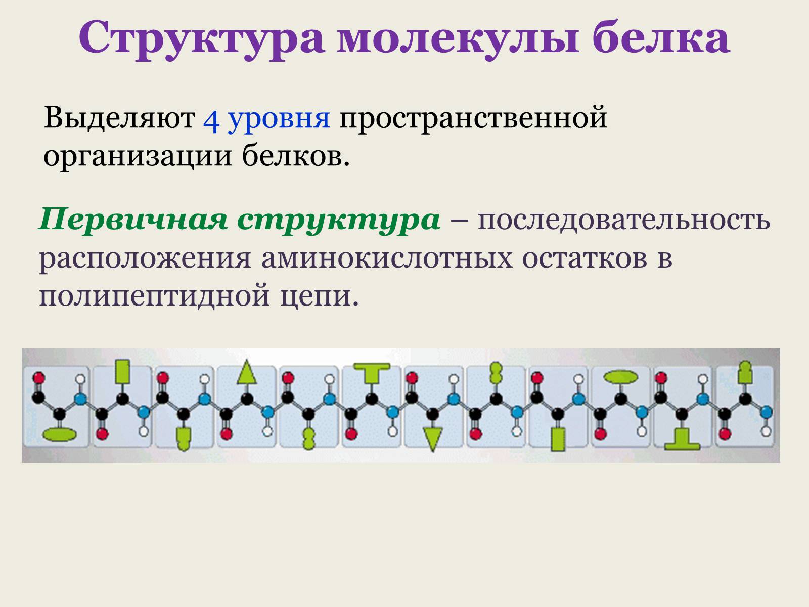 Презентація на тему «Белки: состав и строение» - Слайд #10 Презентація на тему «Белки: состав и строение» - Слайд #10