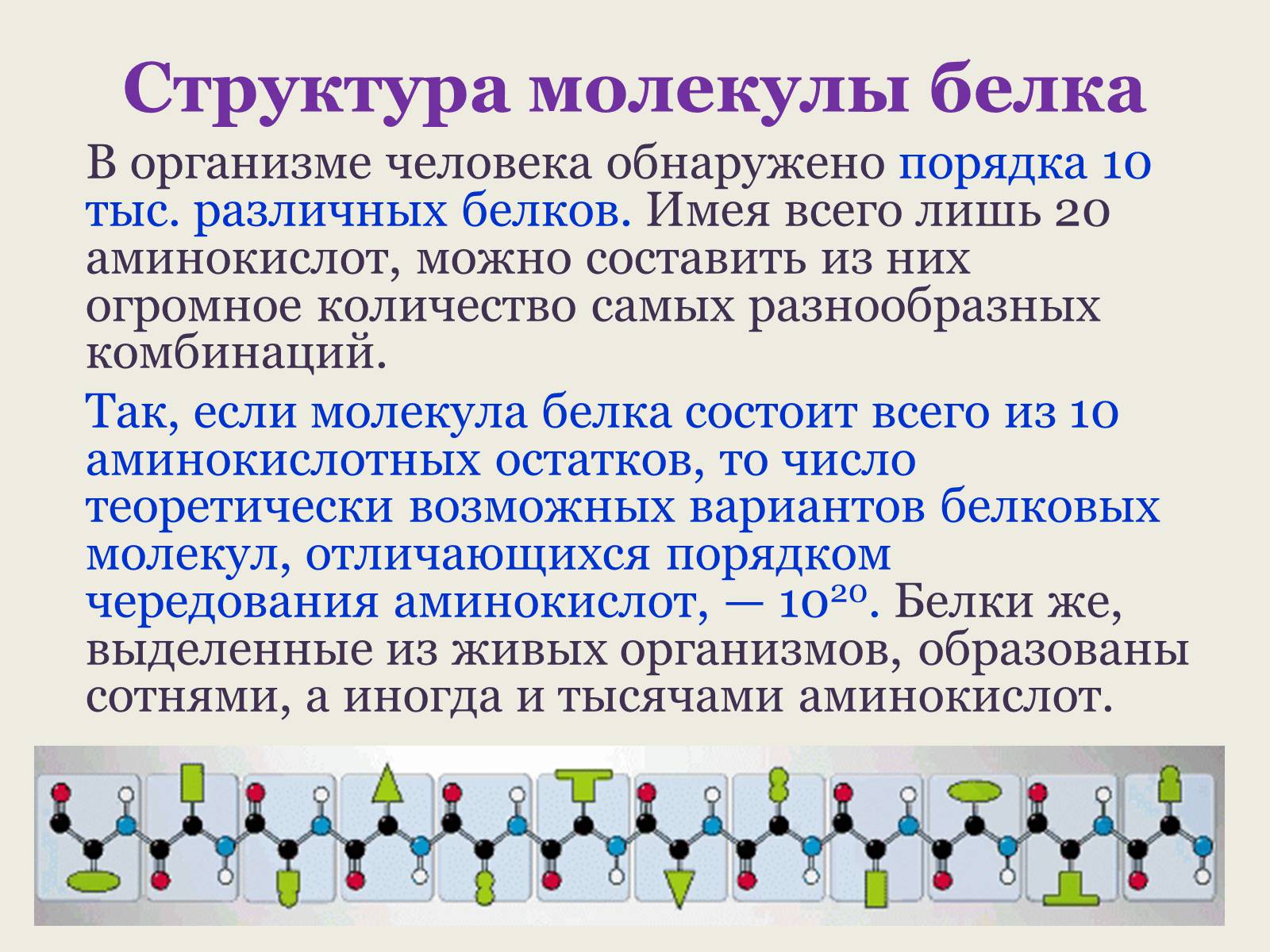 Презентація на тему «Белки: состав и строение» - Слайд #11 Презентація на тему «Белки: состав и строение» - Слайд #11