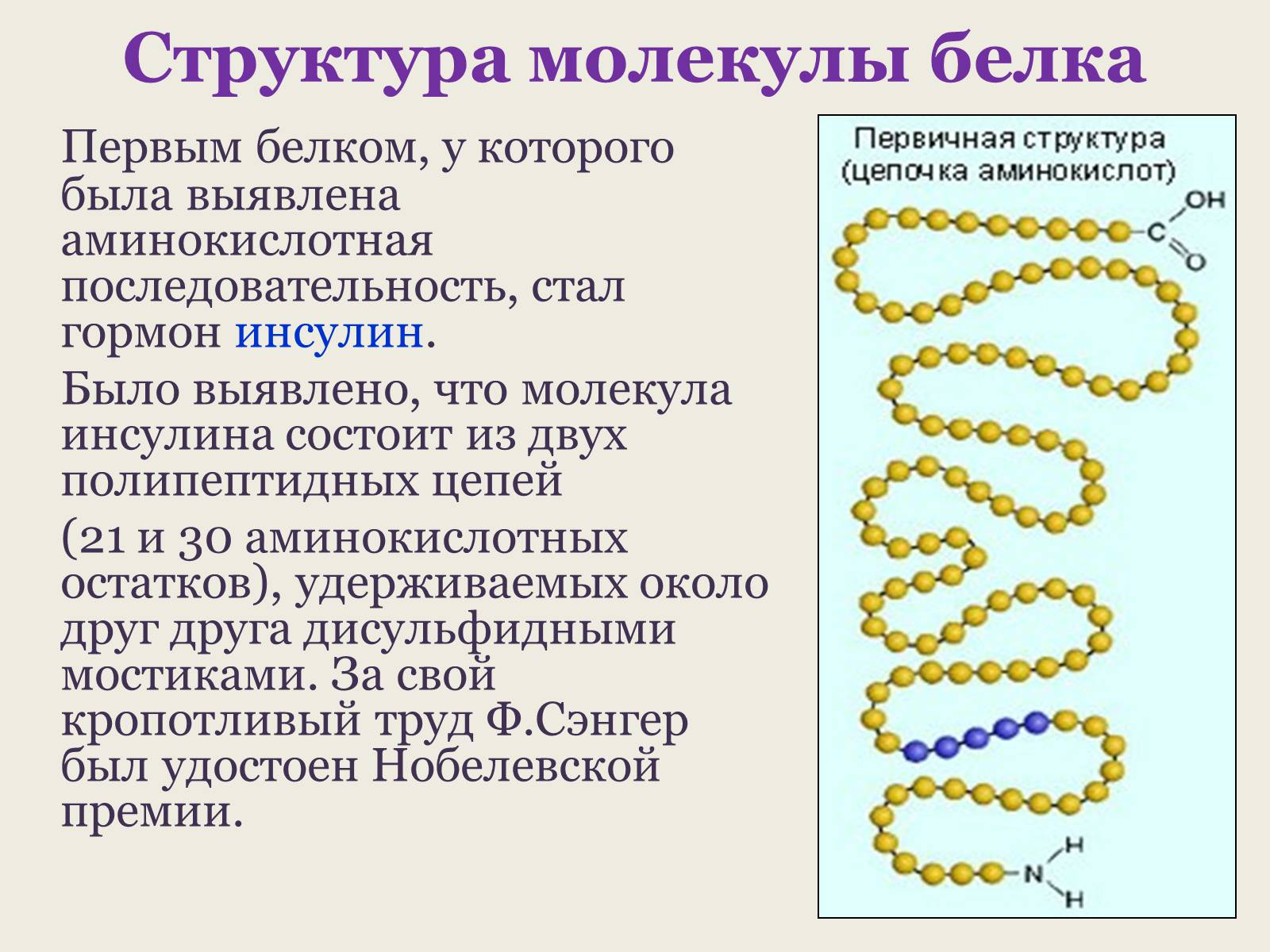 Презентація на тему «Белки: состав и строение» - Слайд #12 Презентація на тему «Белки: состав и строение» - Слайд #12